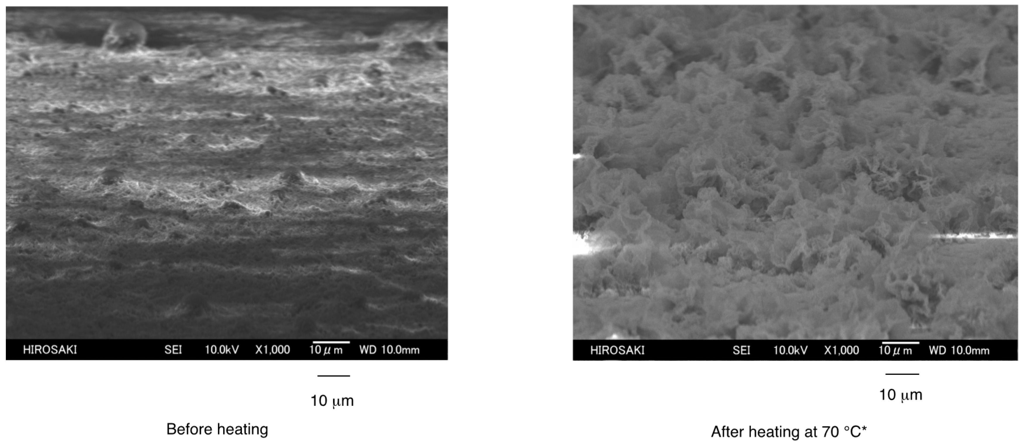 Polymers 09 00092 g004