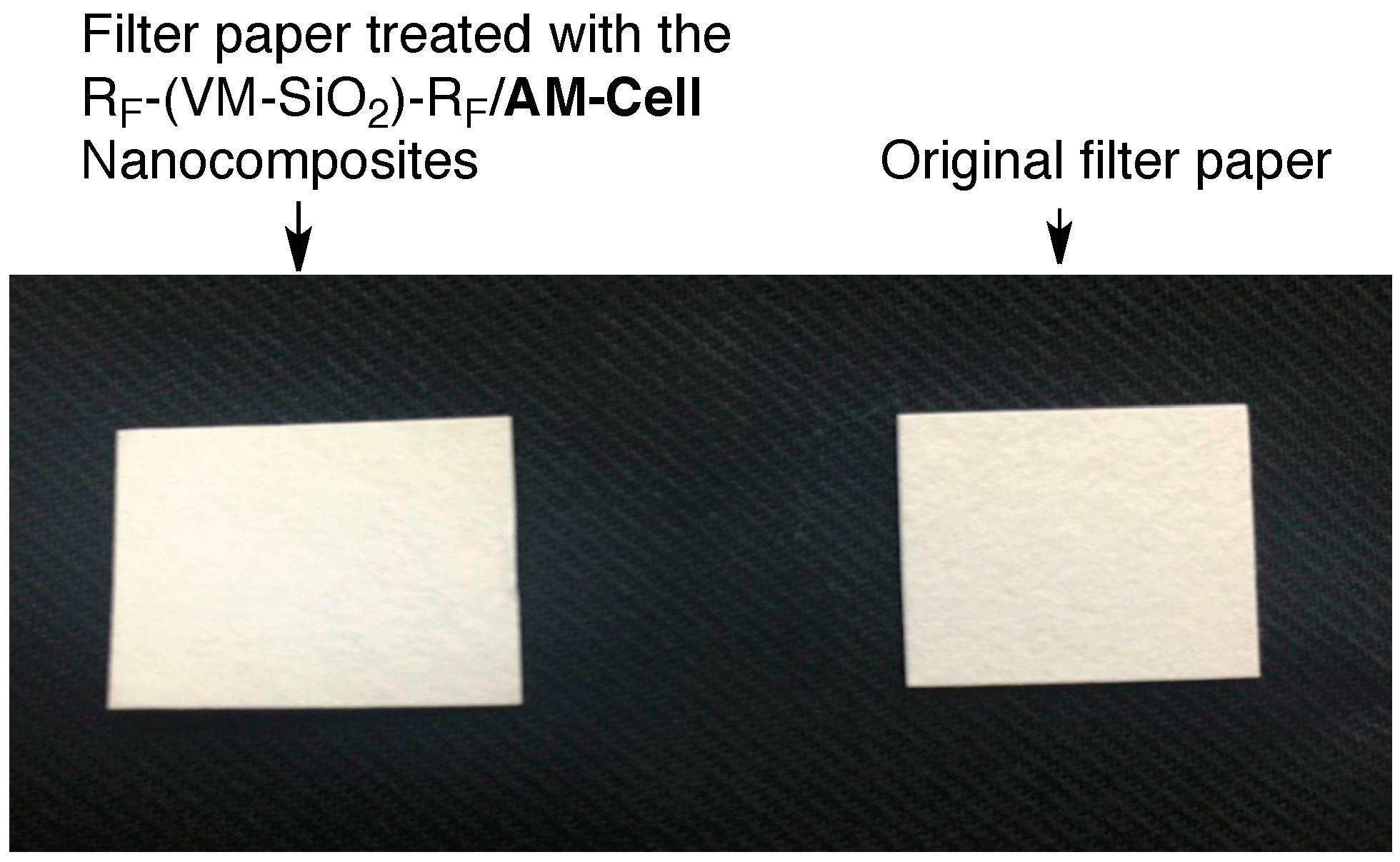 Polymers 09 00092 g006