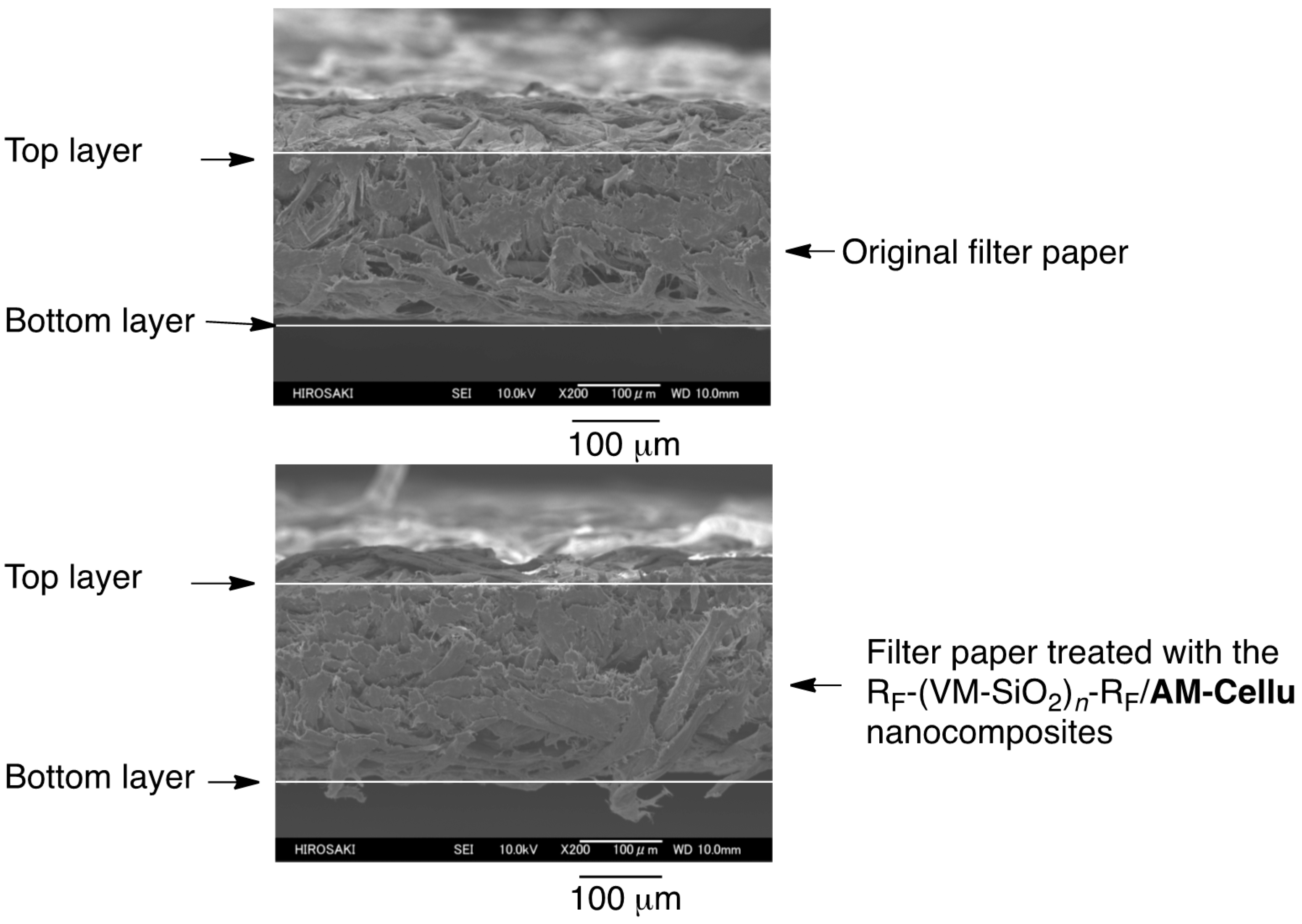 Polymers 09 00092 g008