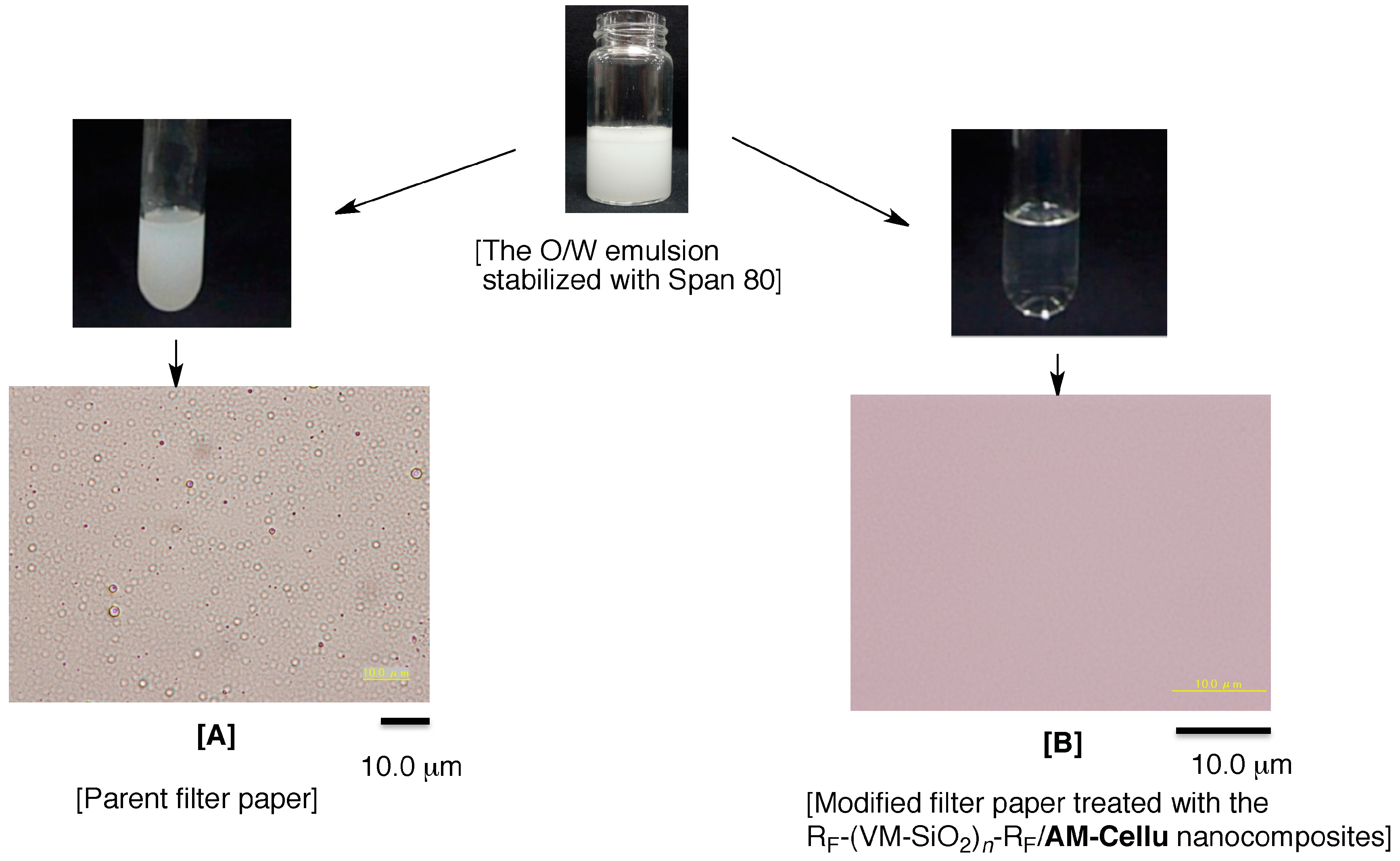 Polymers 09 00092 g010