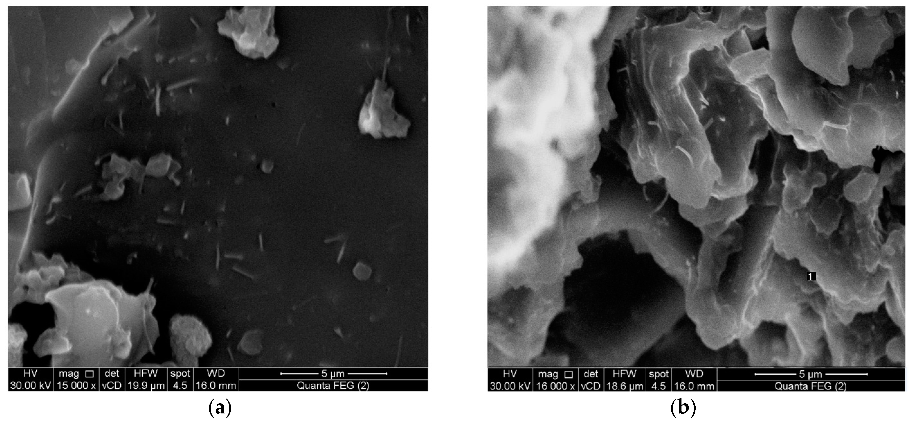 Polymers 09 00094 g001
