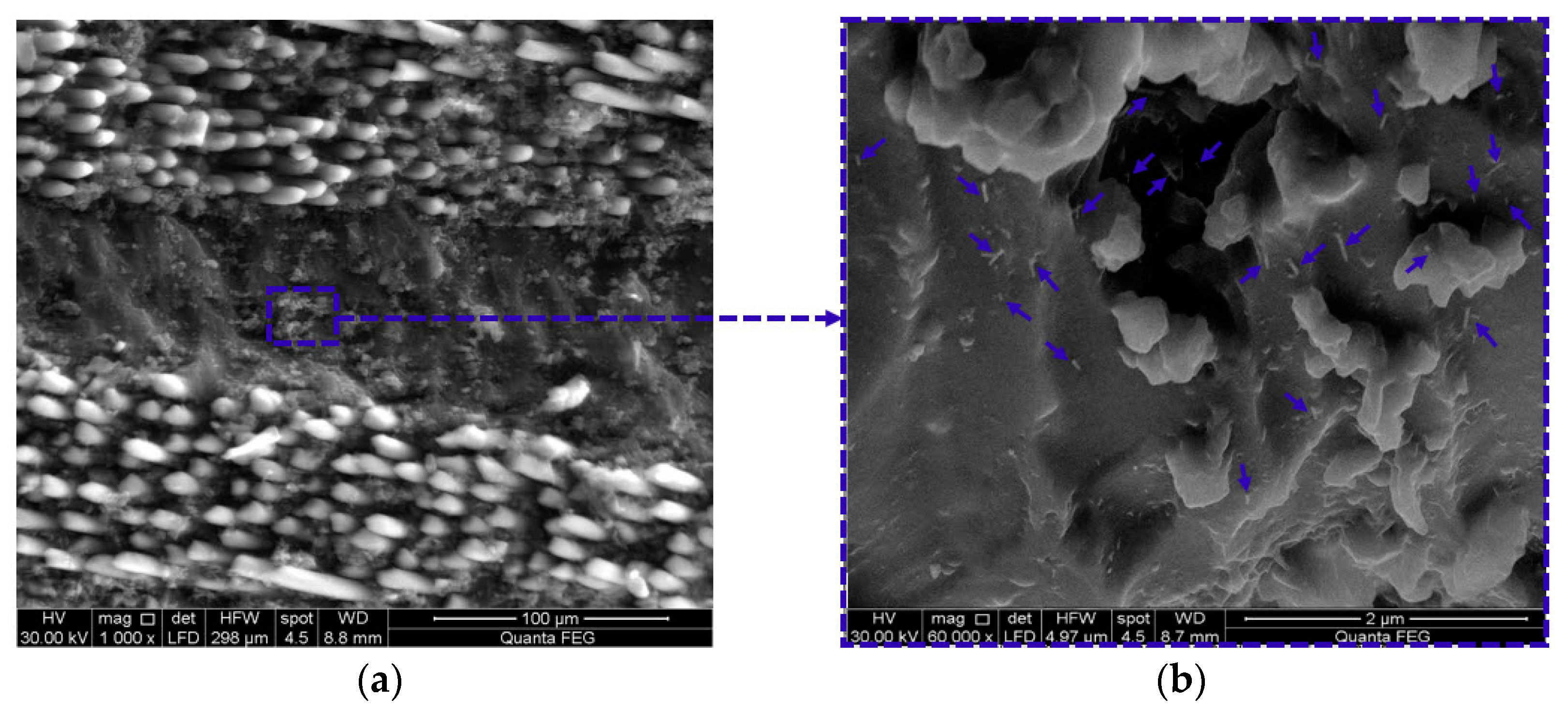 Polymers 09 00094 g004