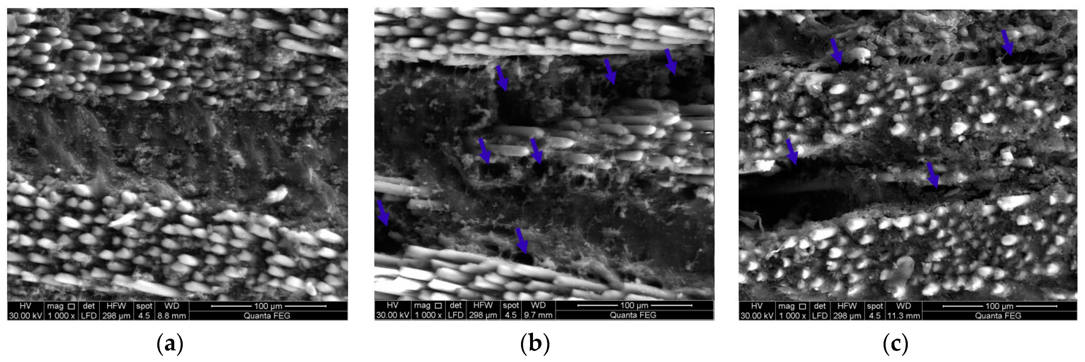 Polymers 09 00094 g017