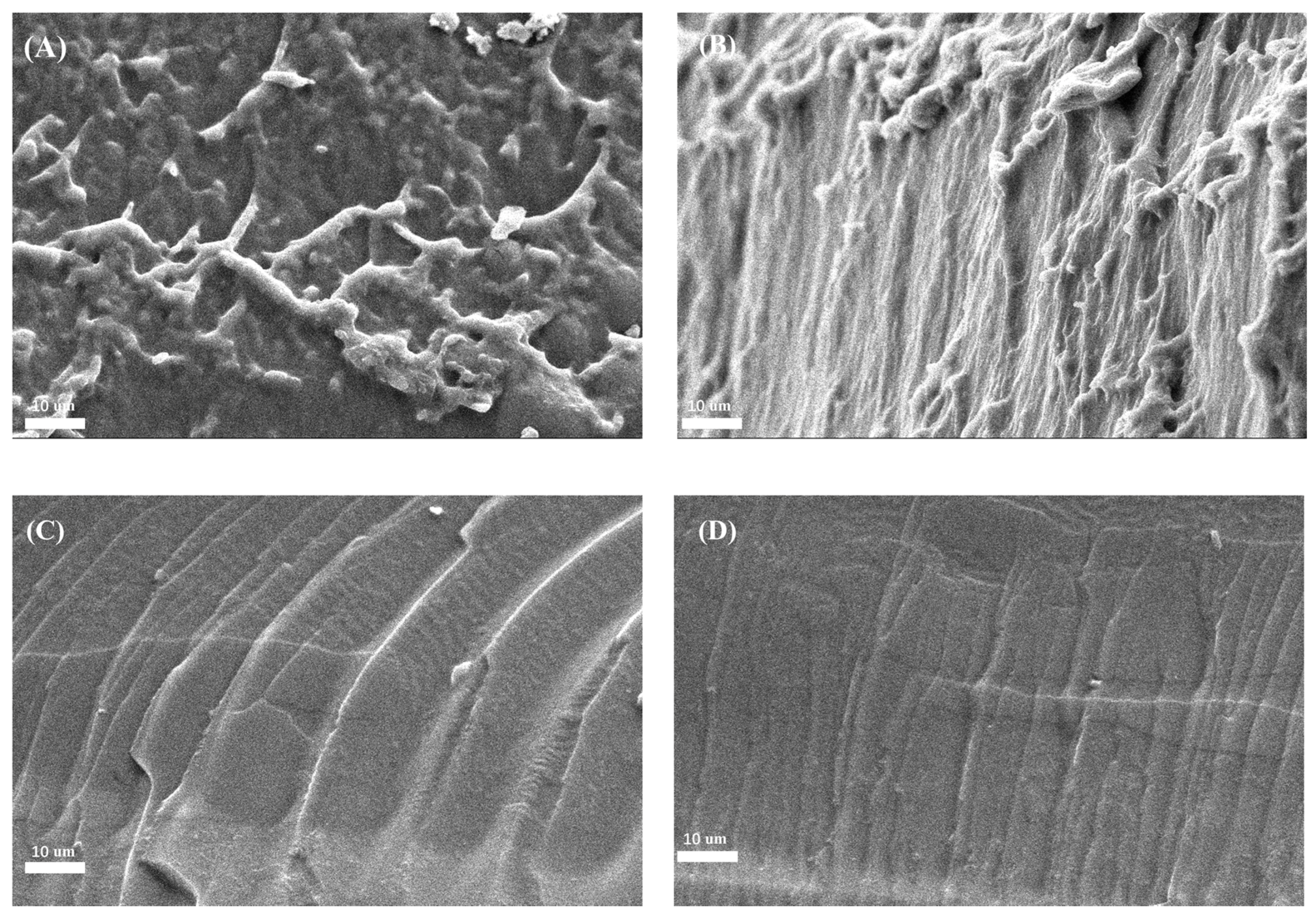 Polymers 09 00095 g004