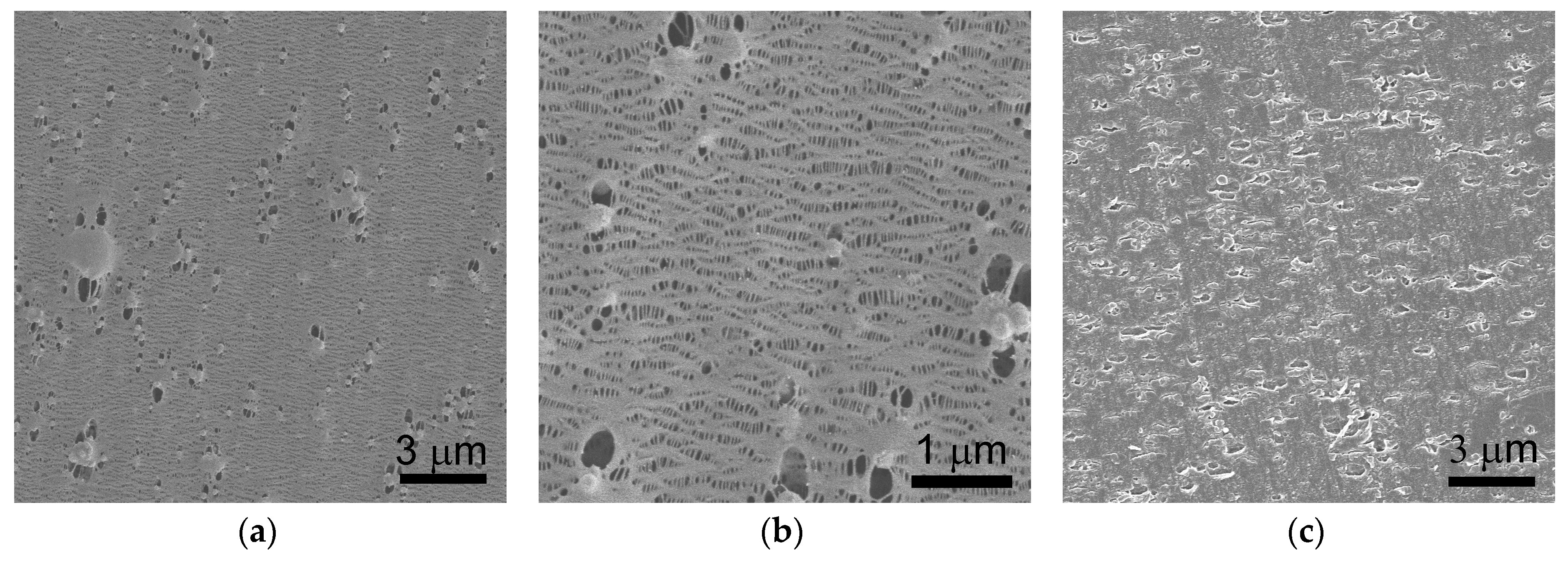 Polymers 09 00110 g005