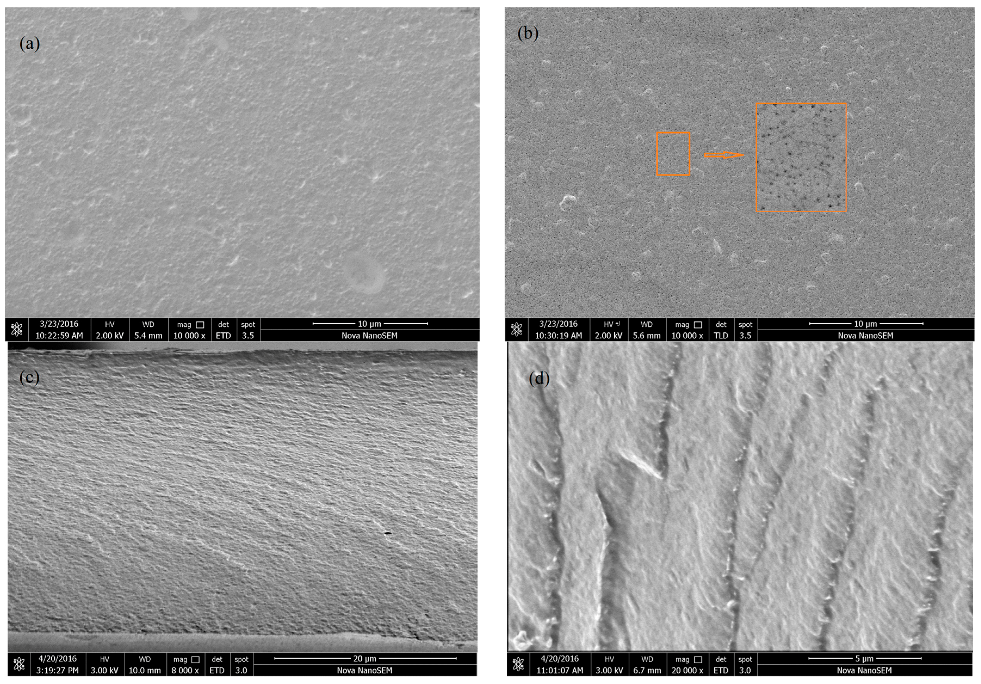 Polymers 09 00116 g006