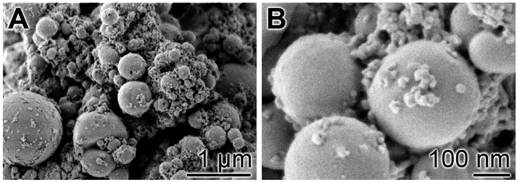 Polymers 09 00120 g001