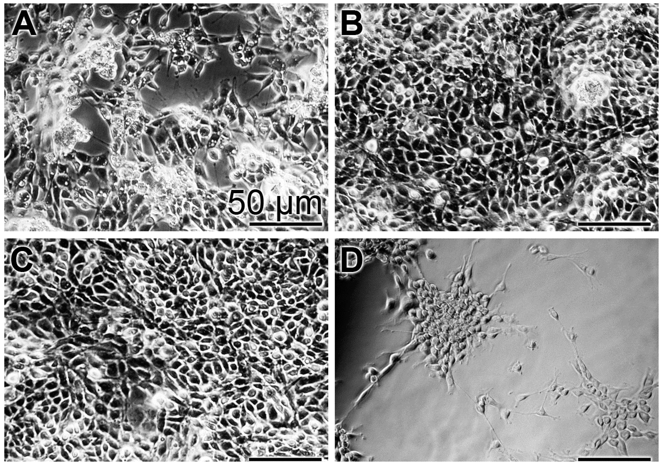 Polymers 09 00120 g003