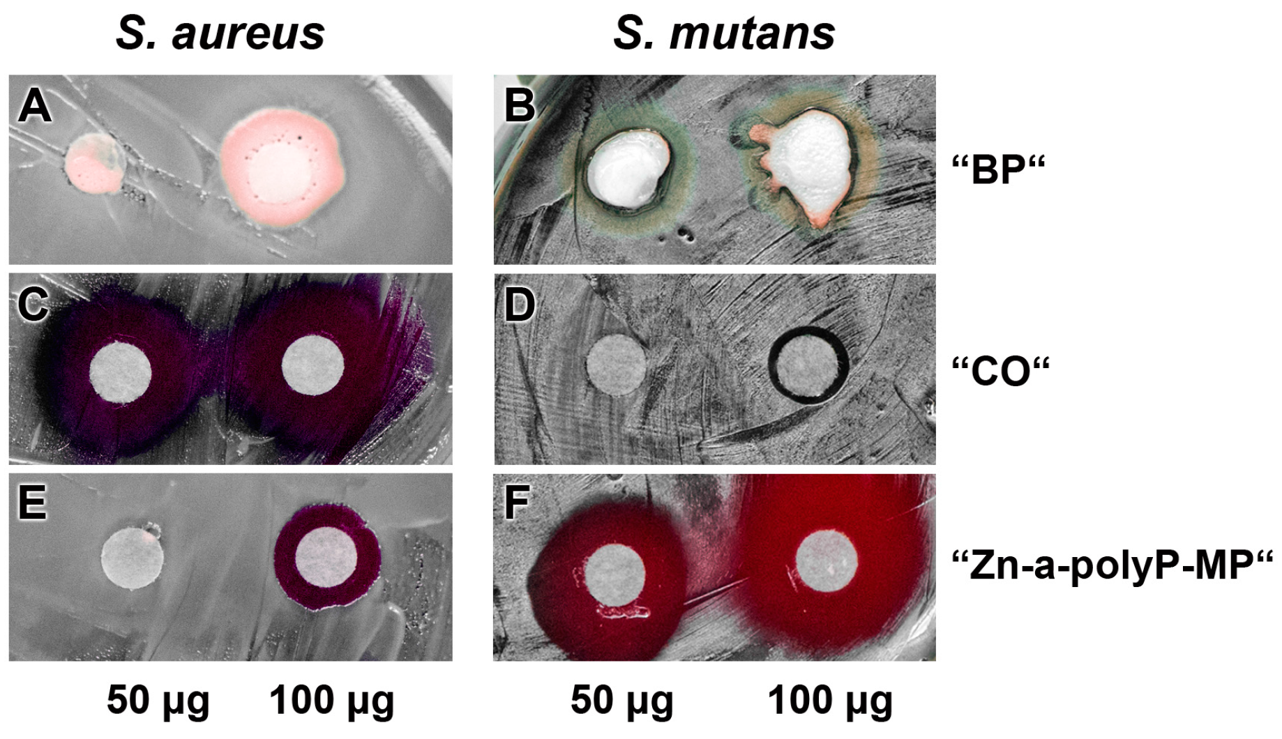 Polymers 09 00120 g005