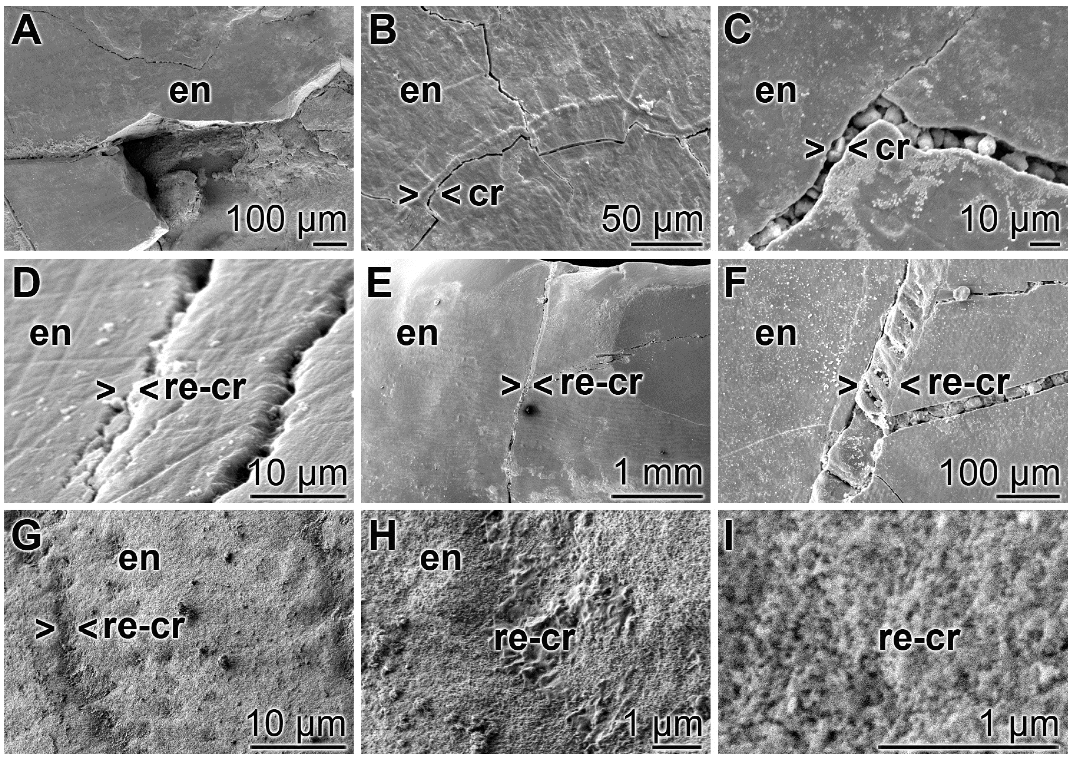 Polymers 09 00120 g009