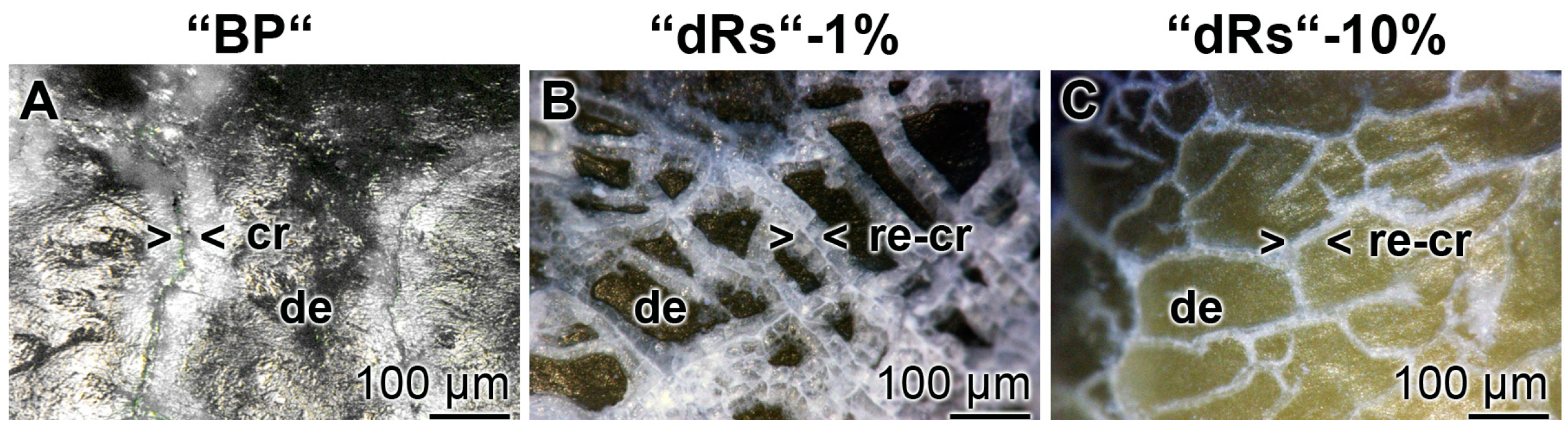 Polymers 09 00120 g010