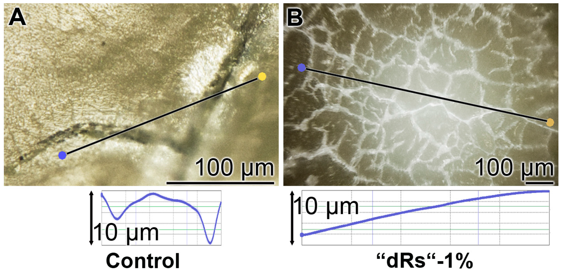 Polymers 09 00120 g012