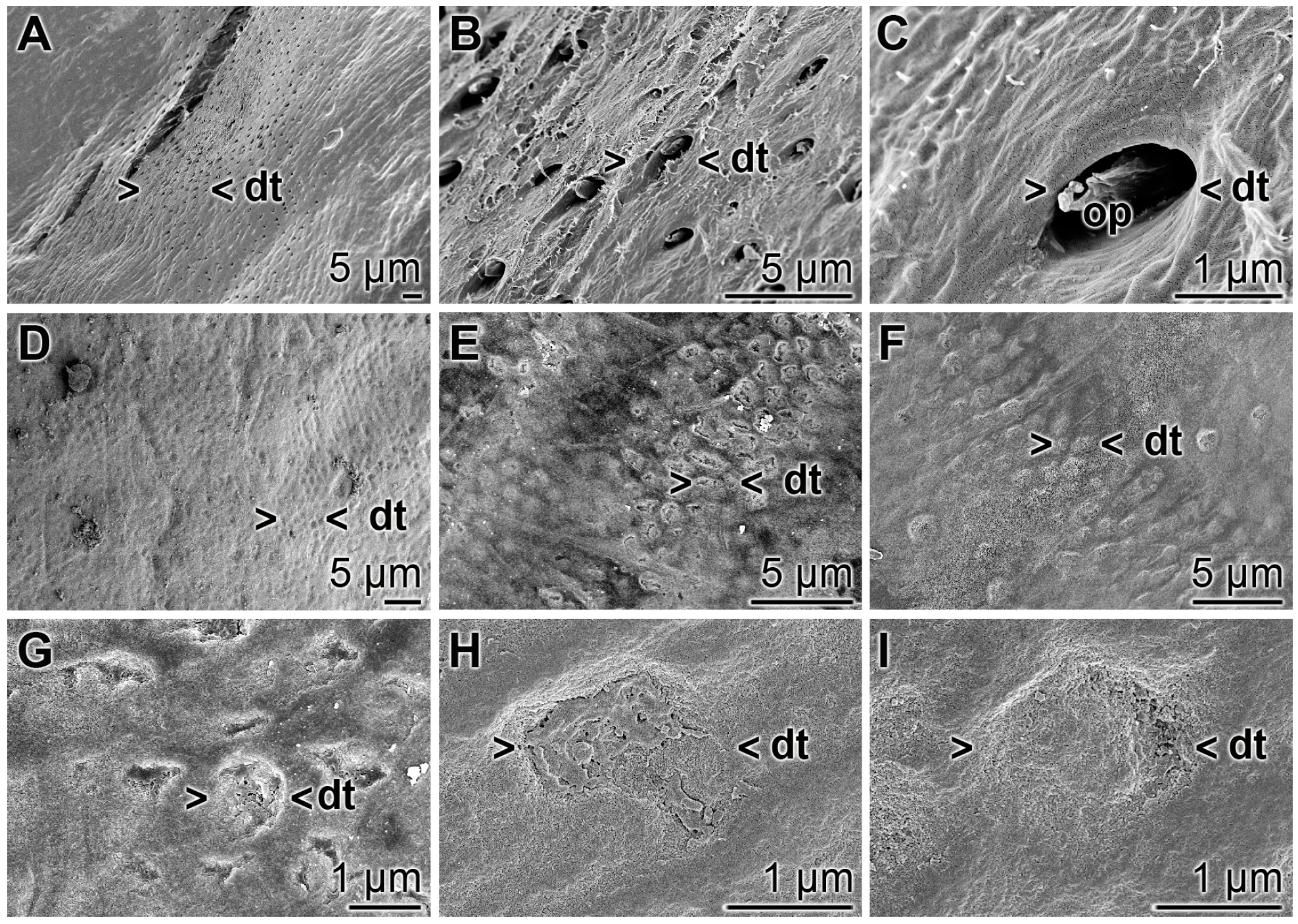 Polymers 09 00120 g014
