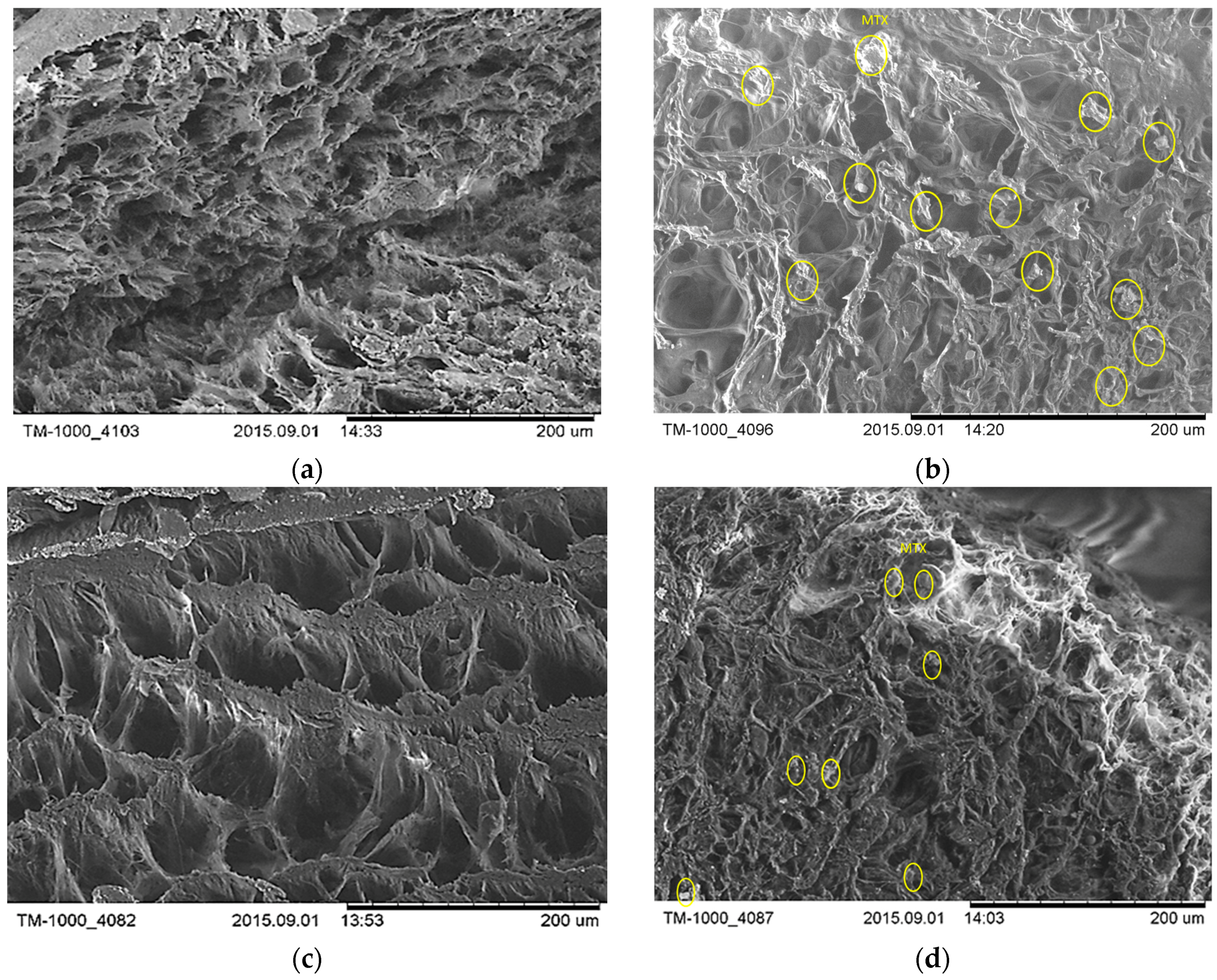Polymers 09 00123 g002