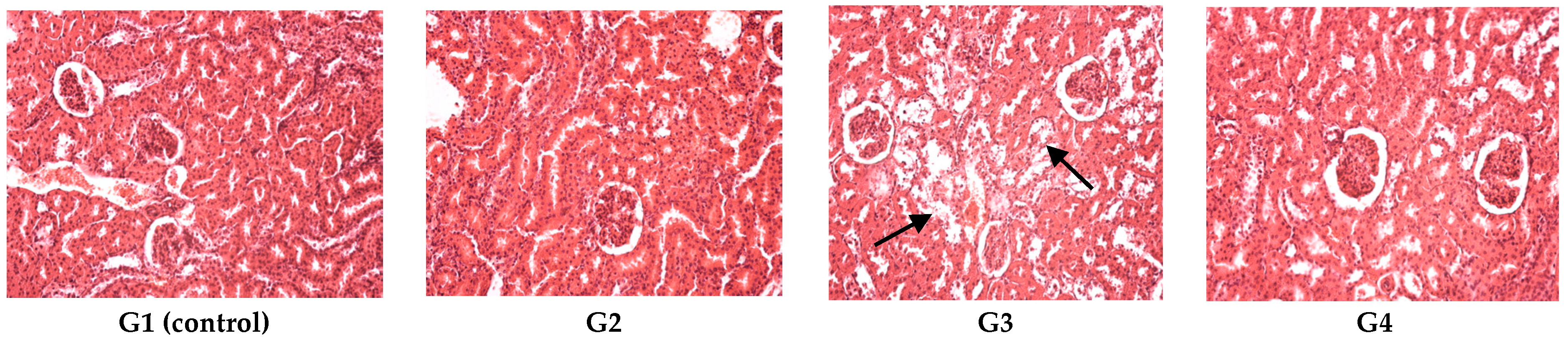 Polymers 09 00123 g005