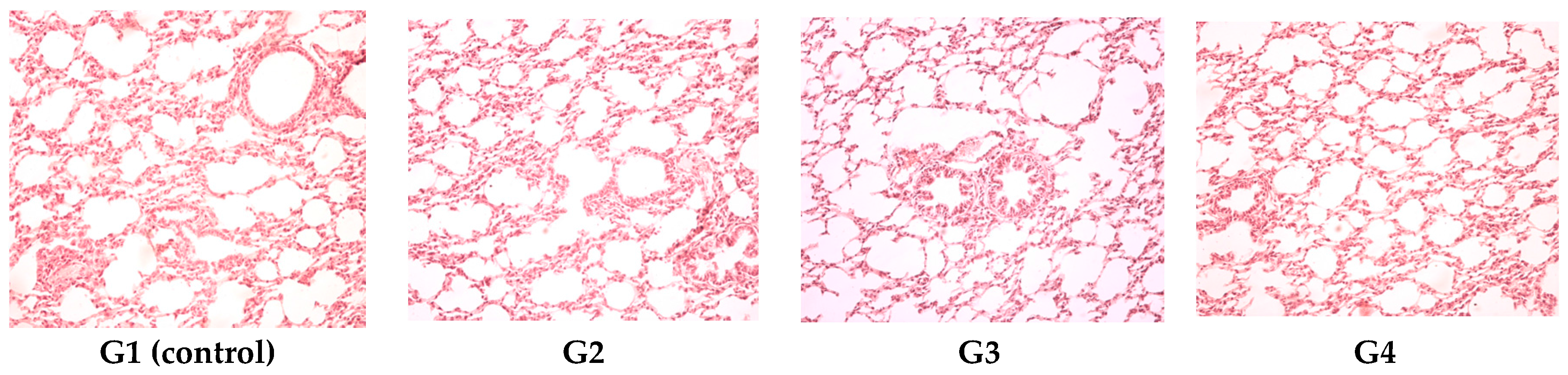 Polymers 09 00123 g007