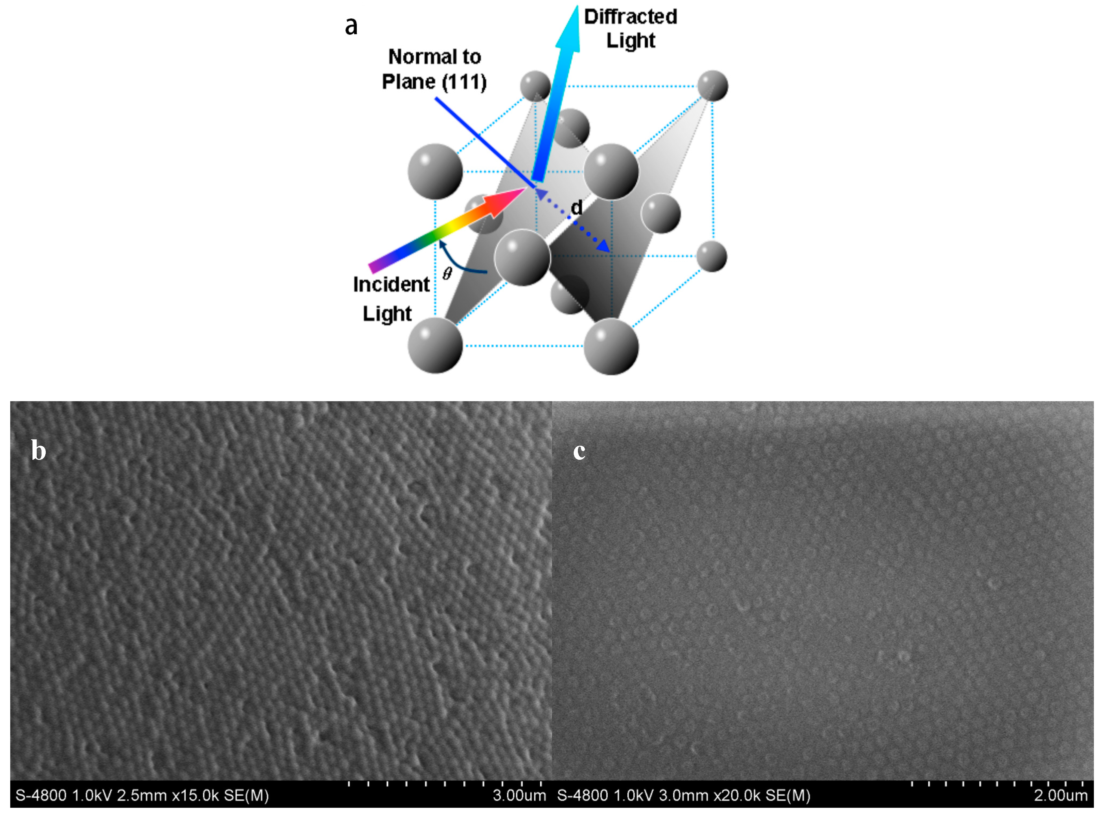Polymers 09 00125 g005