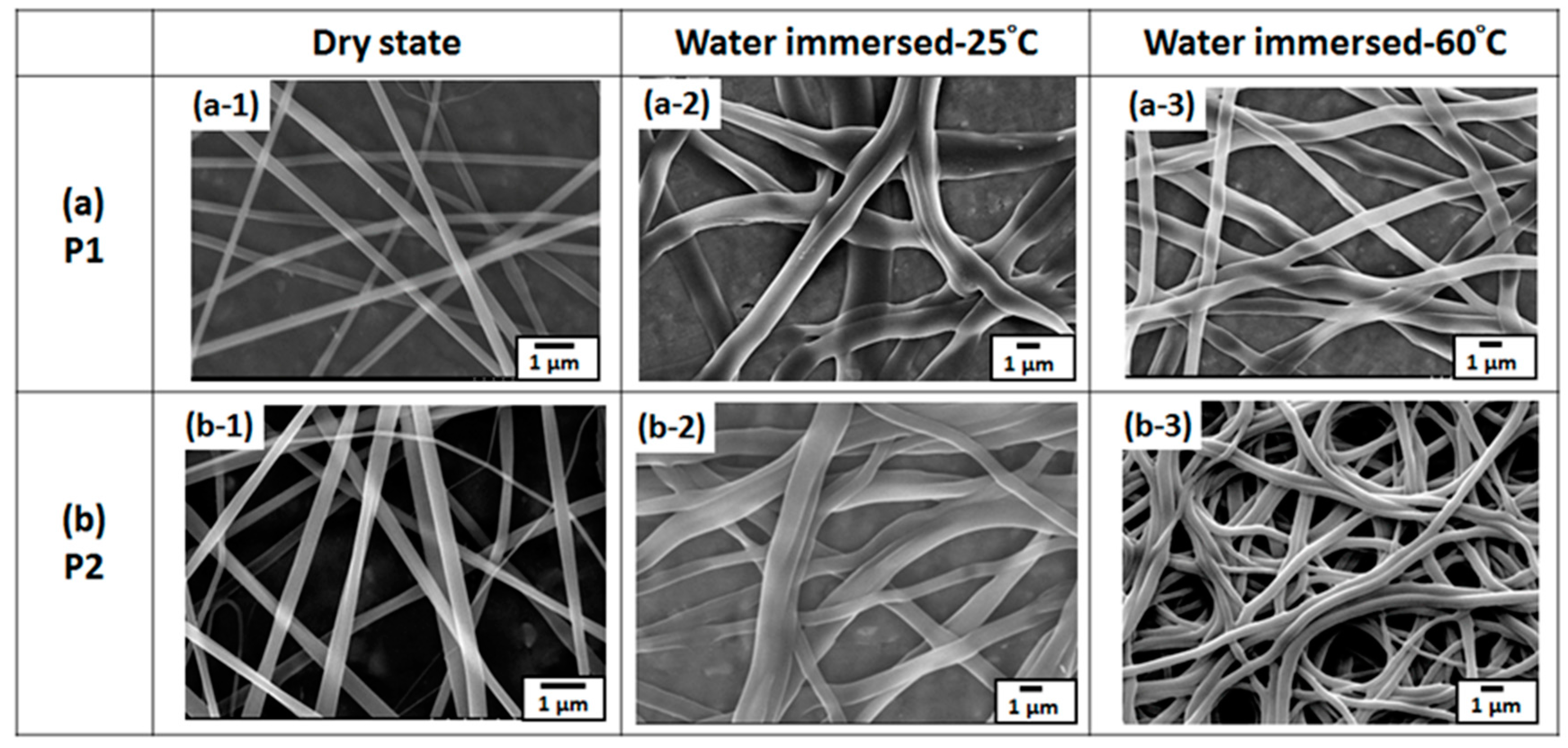 Polymers 09 00136 g006