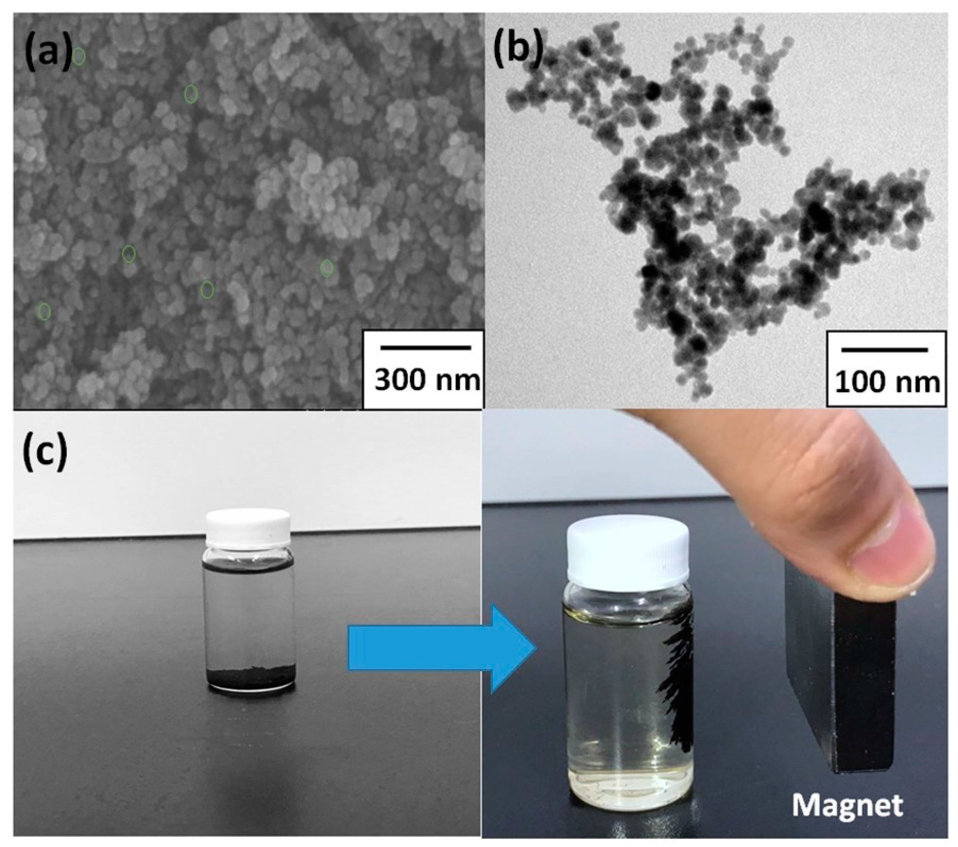 Polymers 09 00136 g007