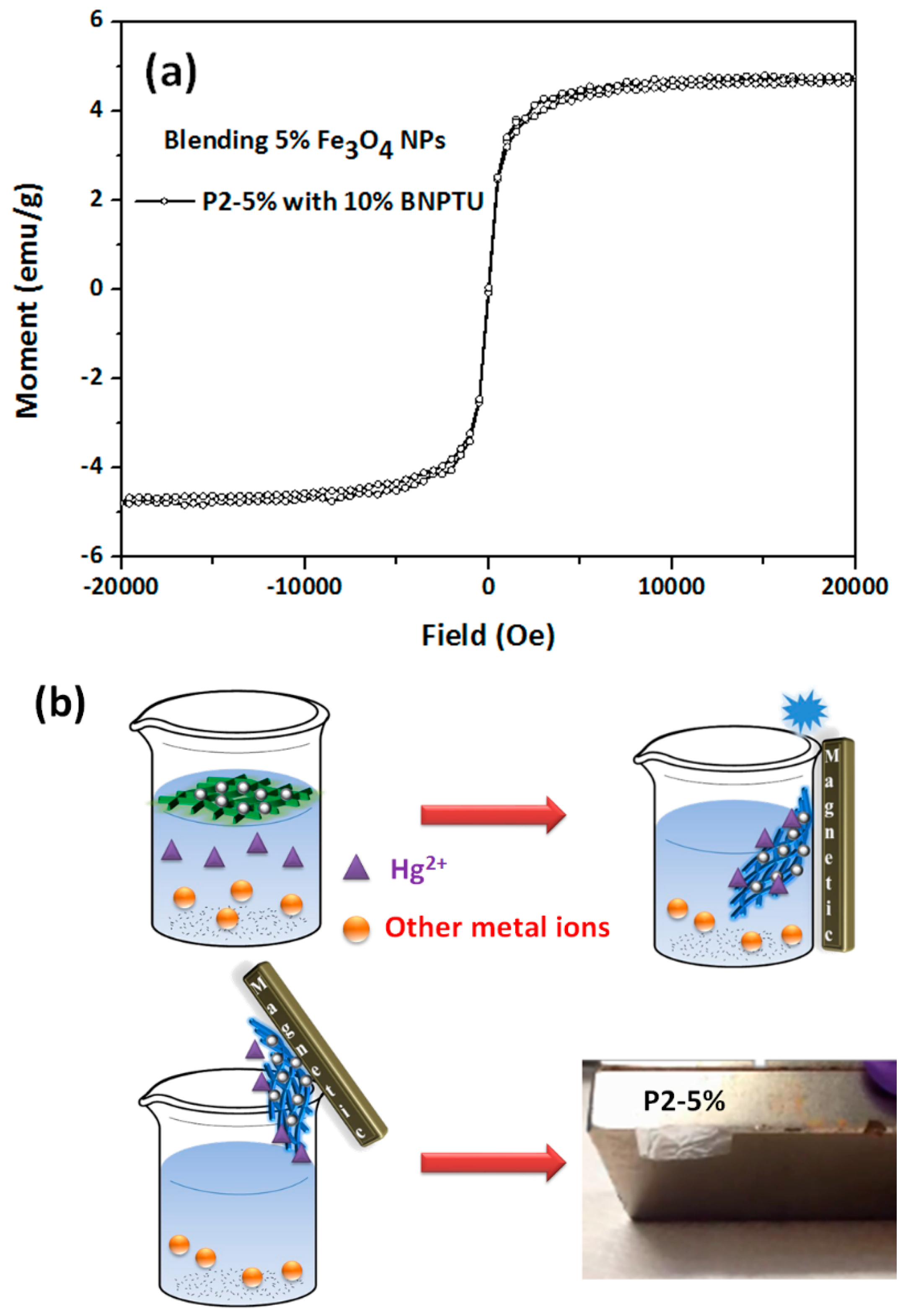 Polymers 09 00136 g012