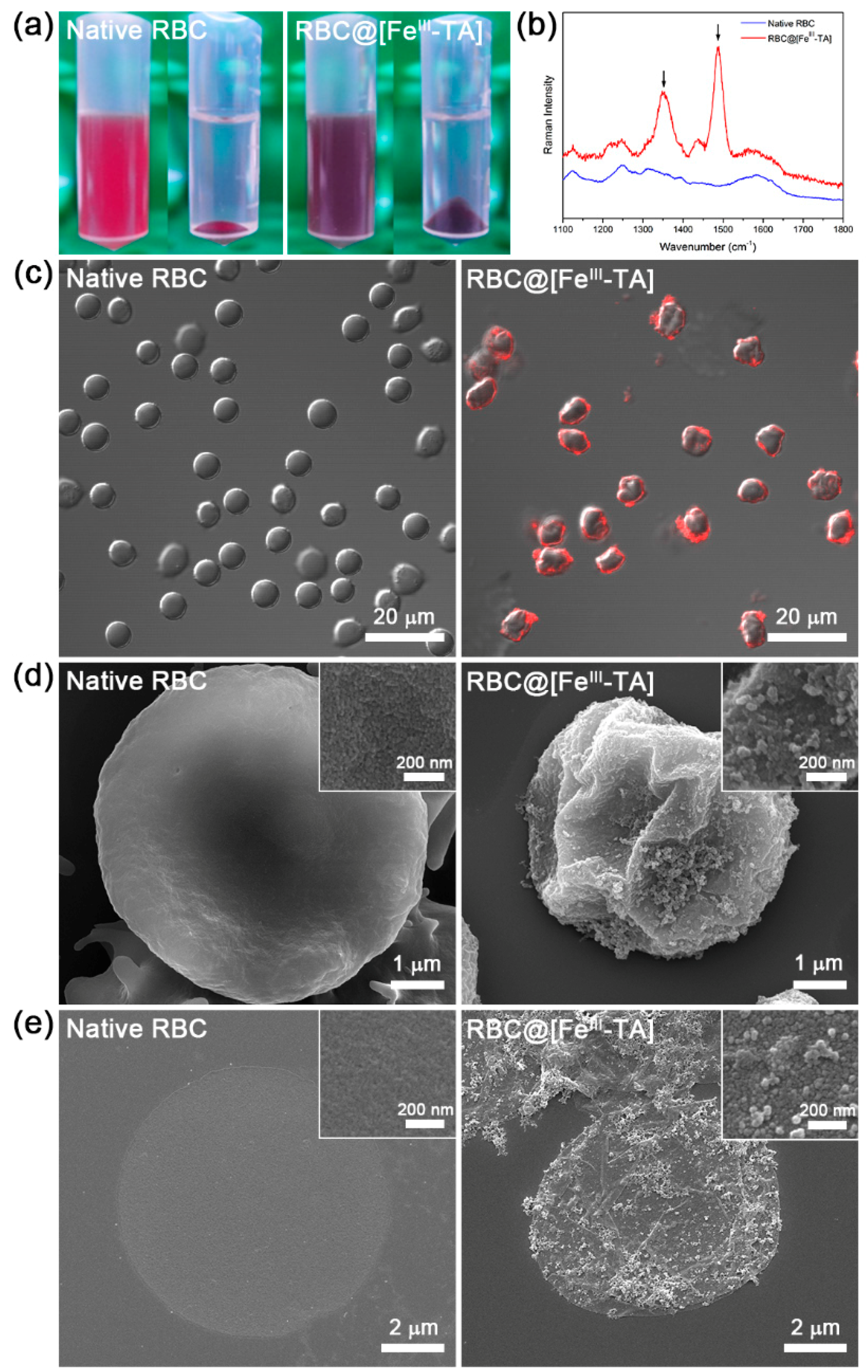 Polymers 09 00140 g002