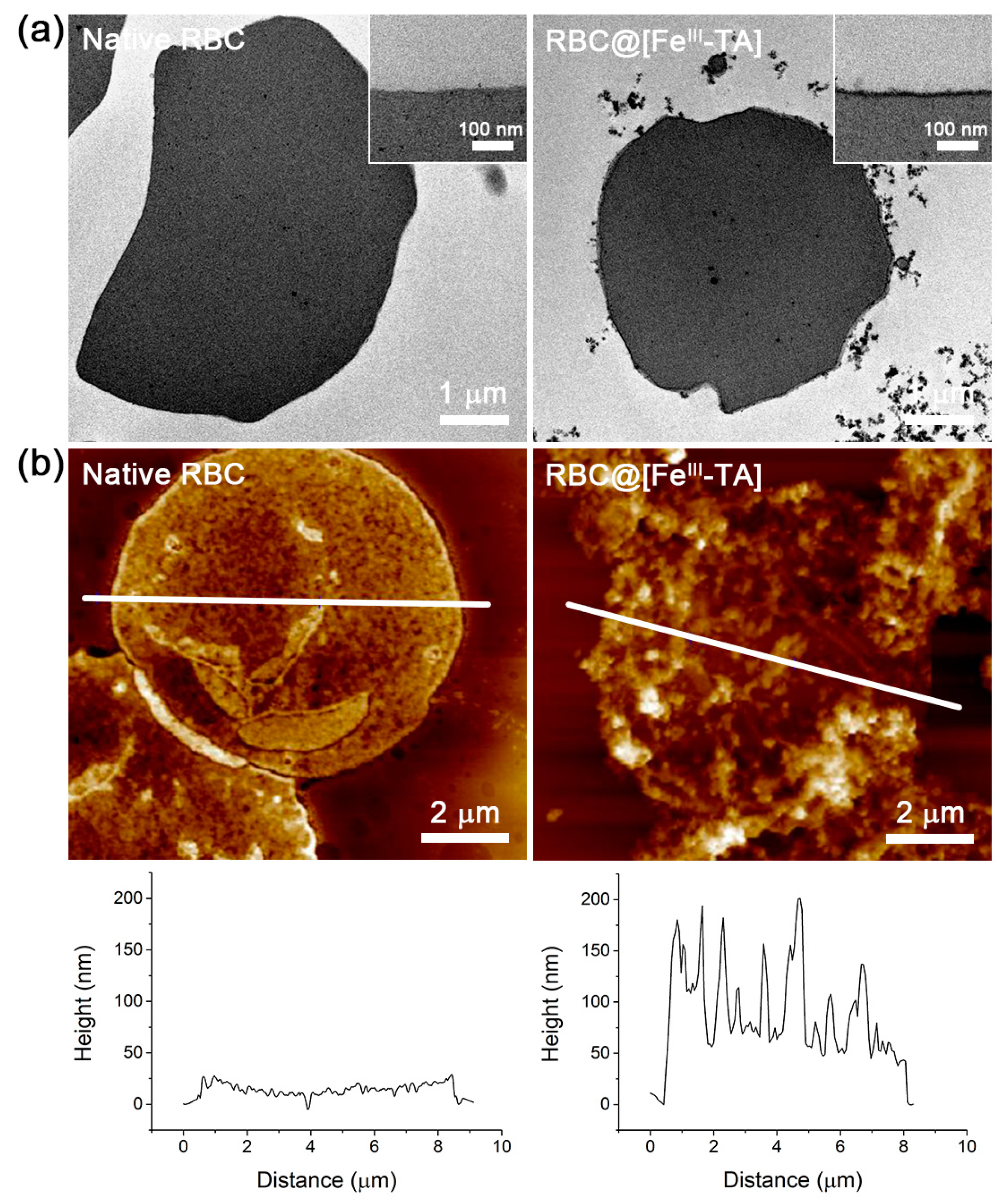 Polymers 09 00140 g003