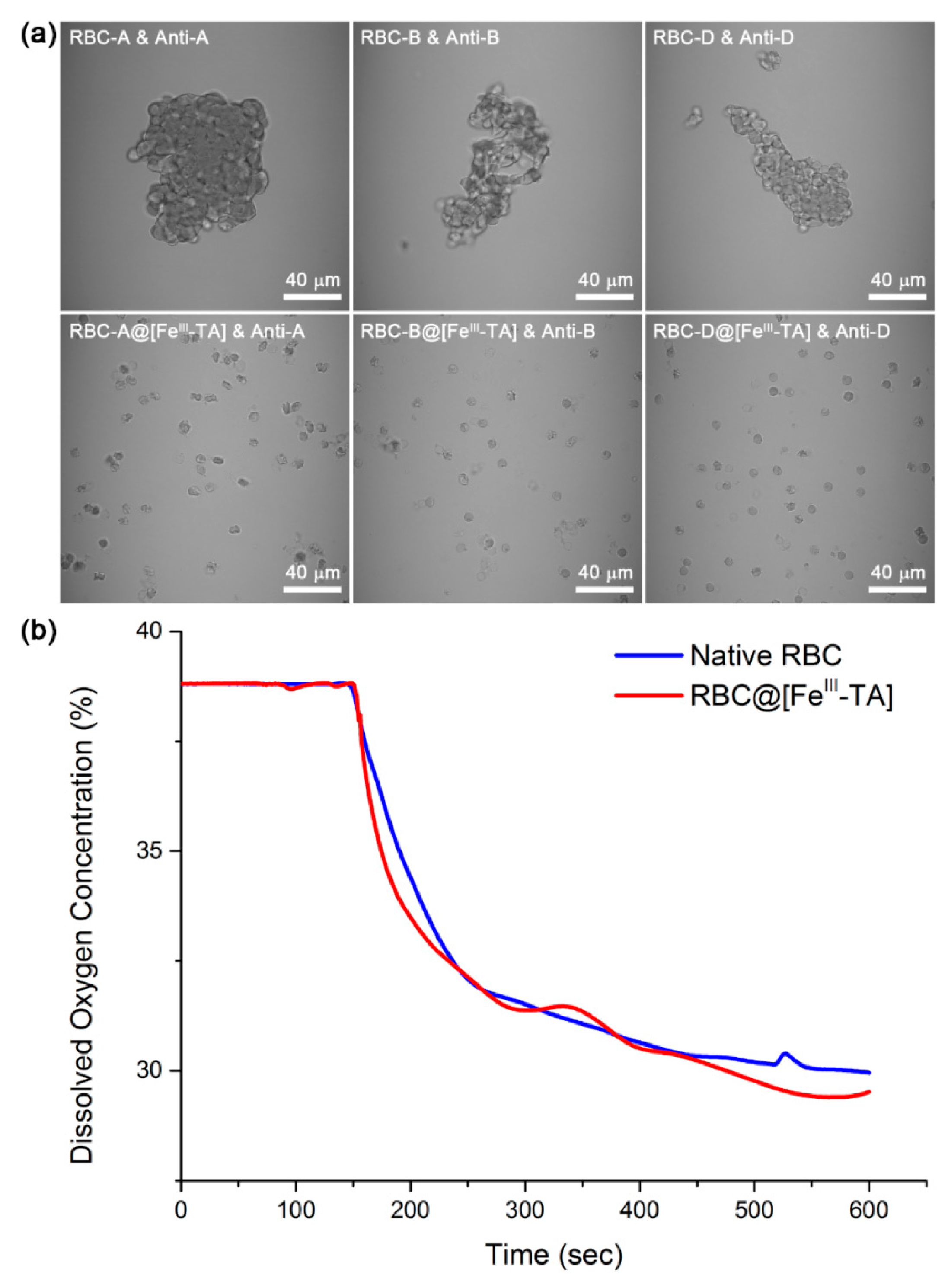 Polymers 09 00140 g004