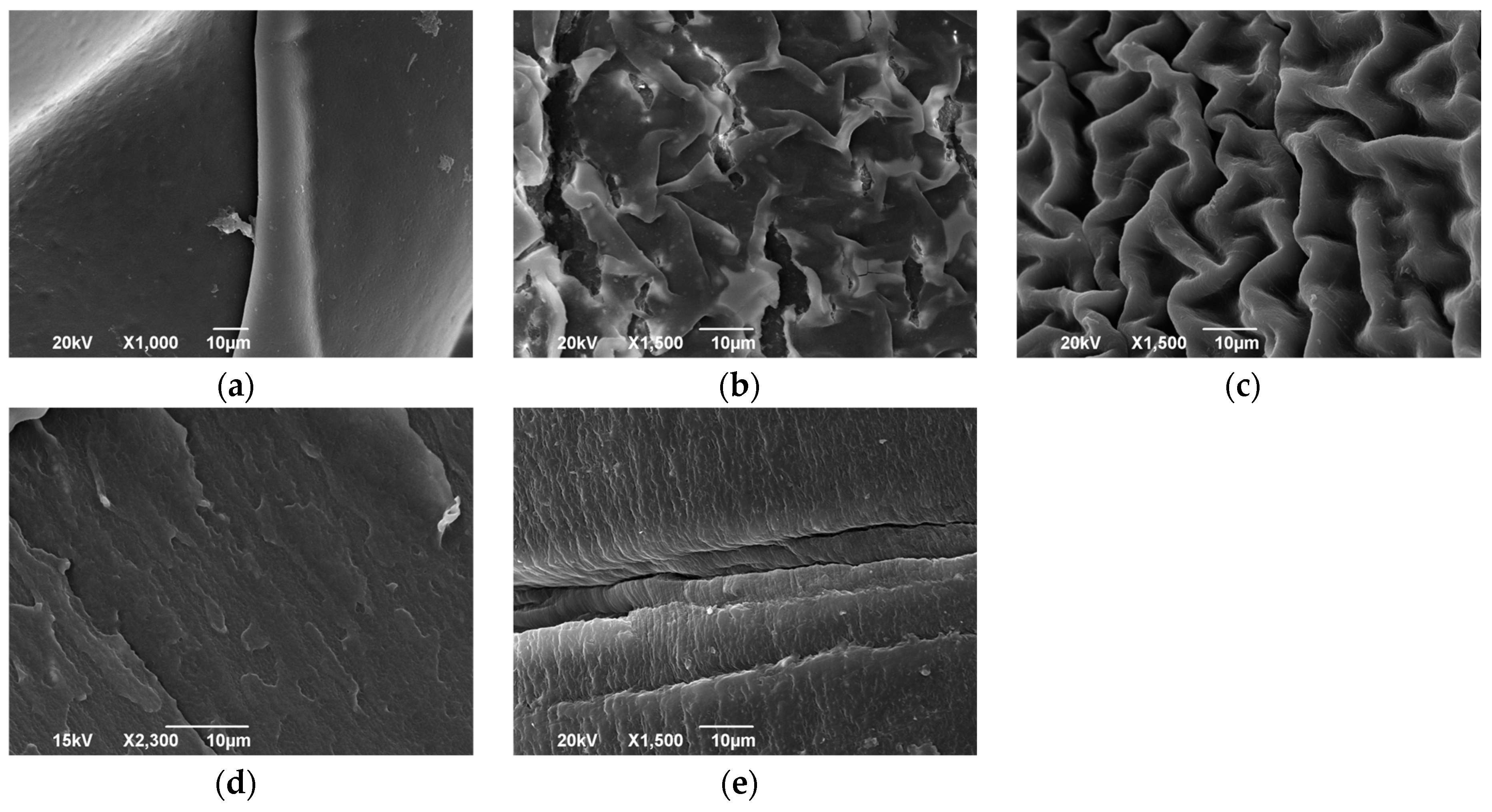 Polymers 09 00141 g006 Polymers 09 00141 g006