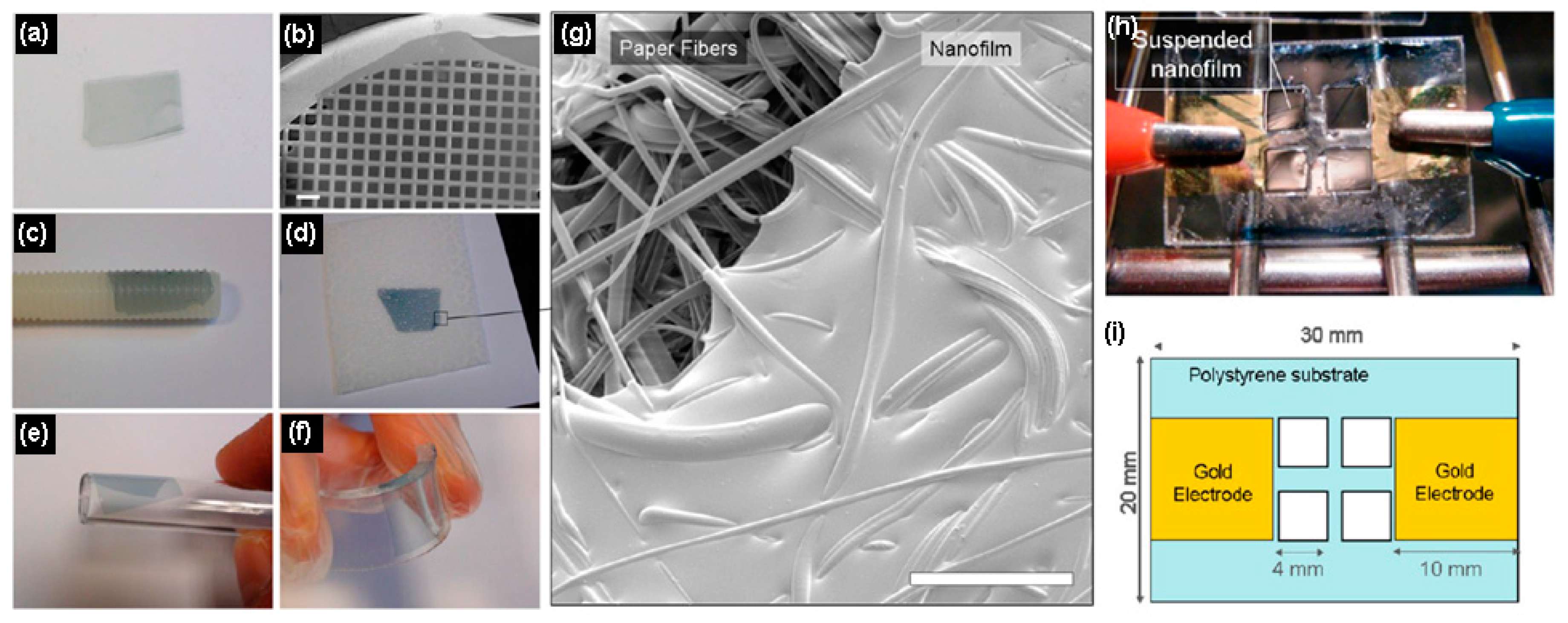 Polymers 09 00155 g005
