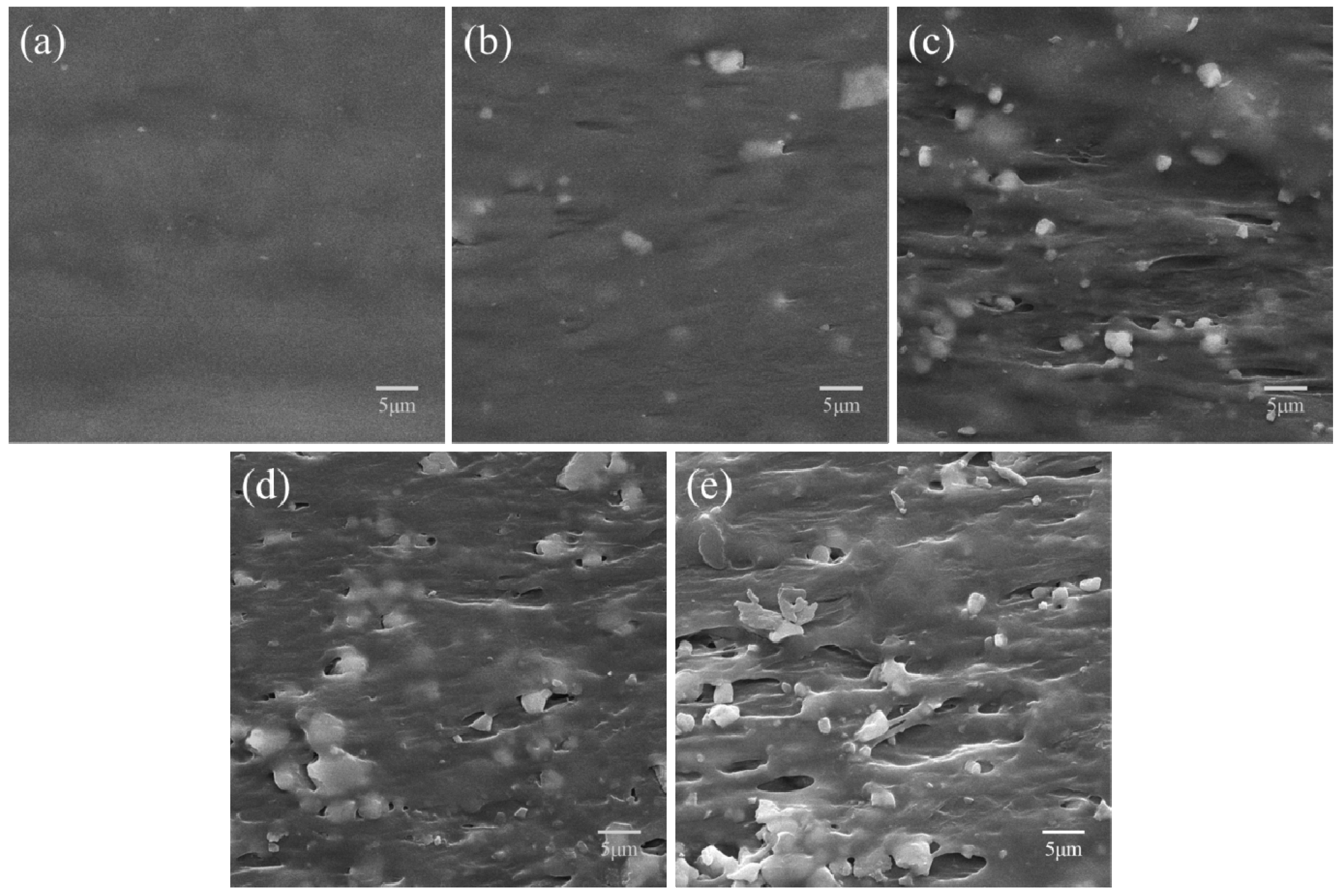 Polymers 09 00175 g005
