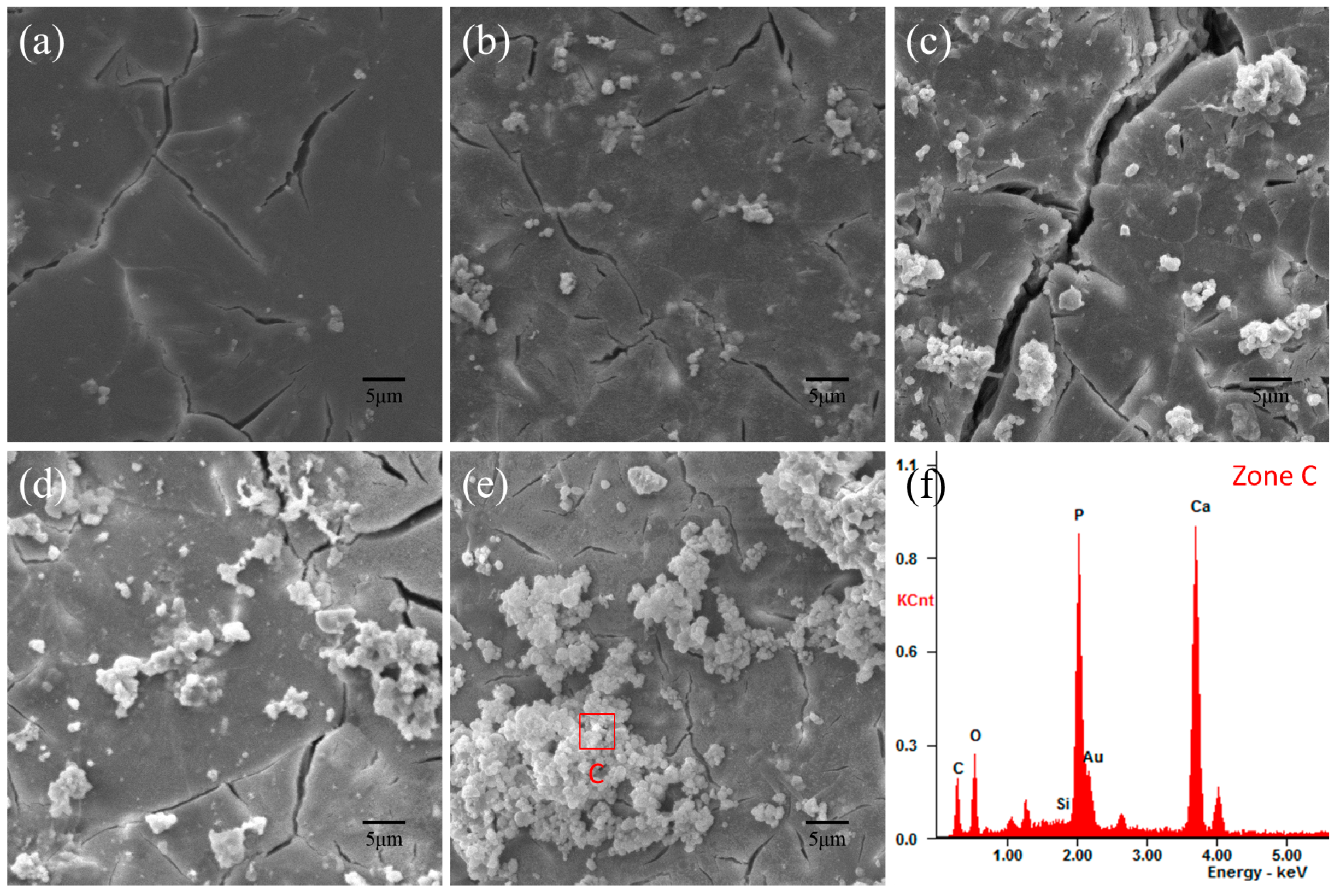 Polymers 09 00175 g007