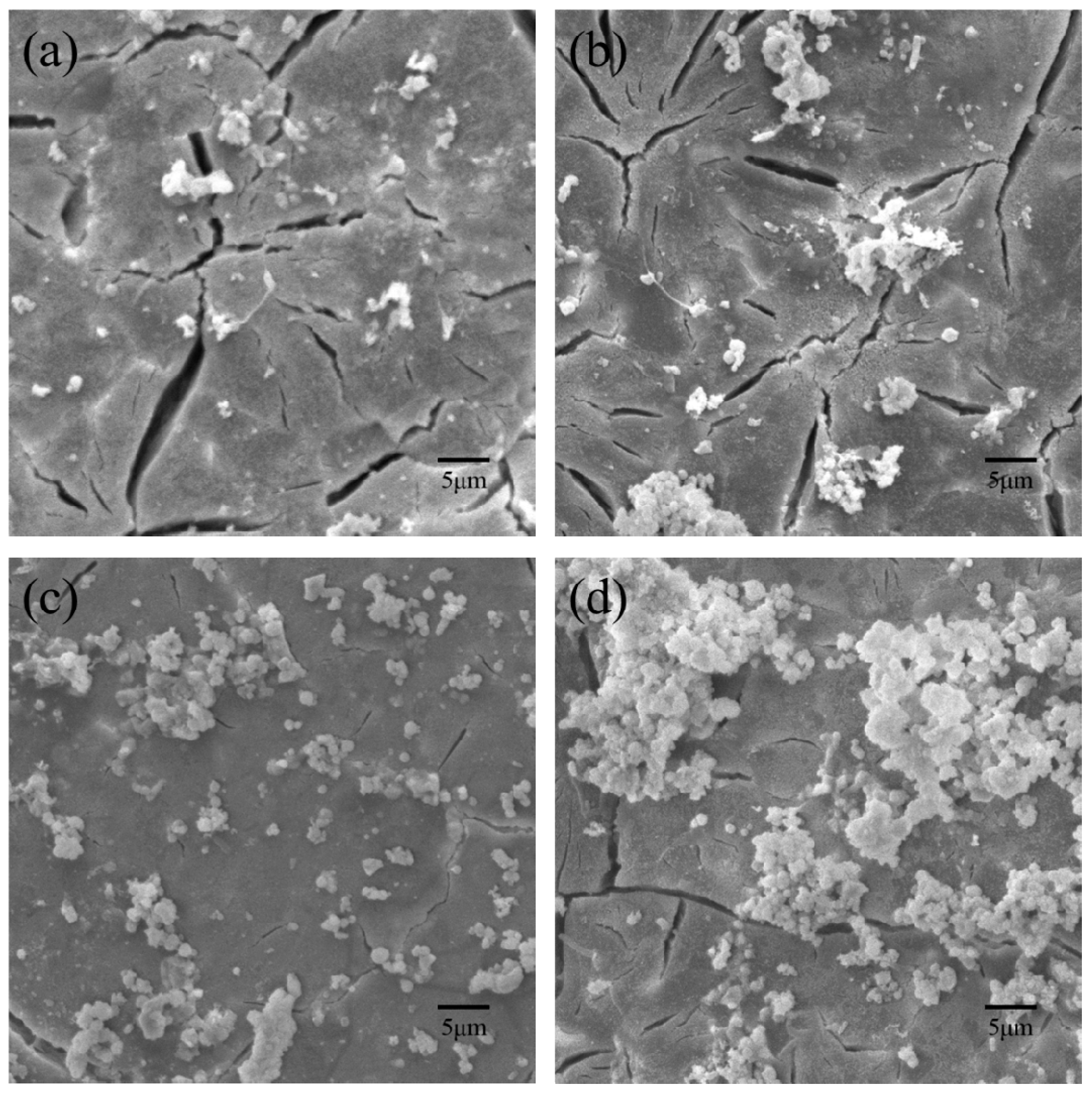 Polymers 09 00175 g008