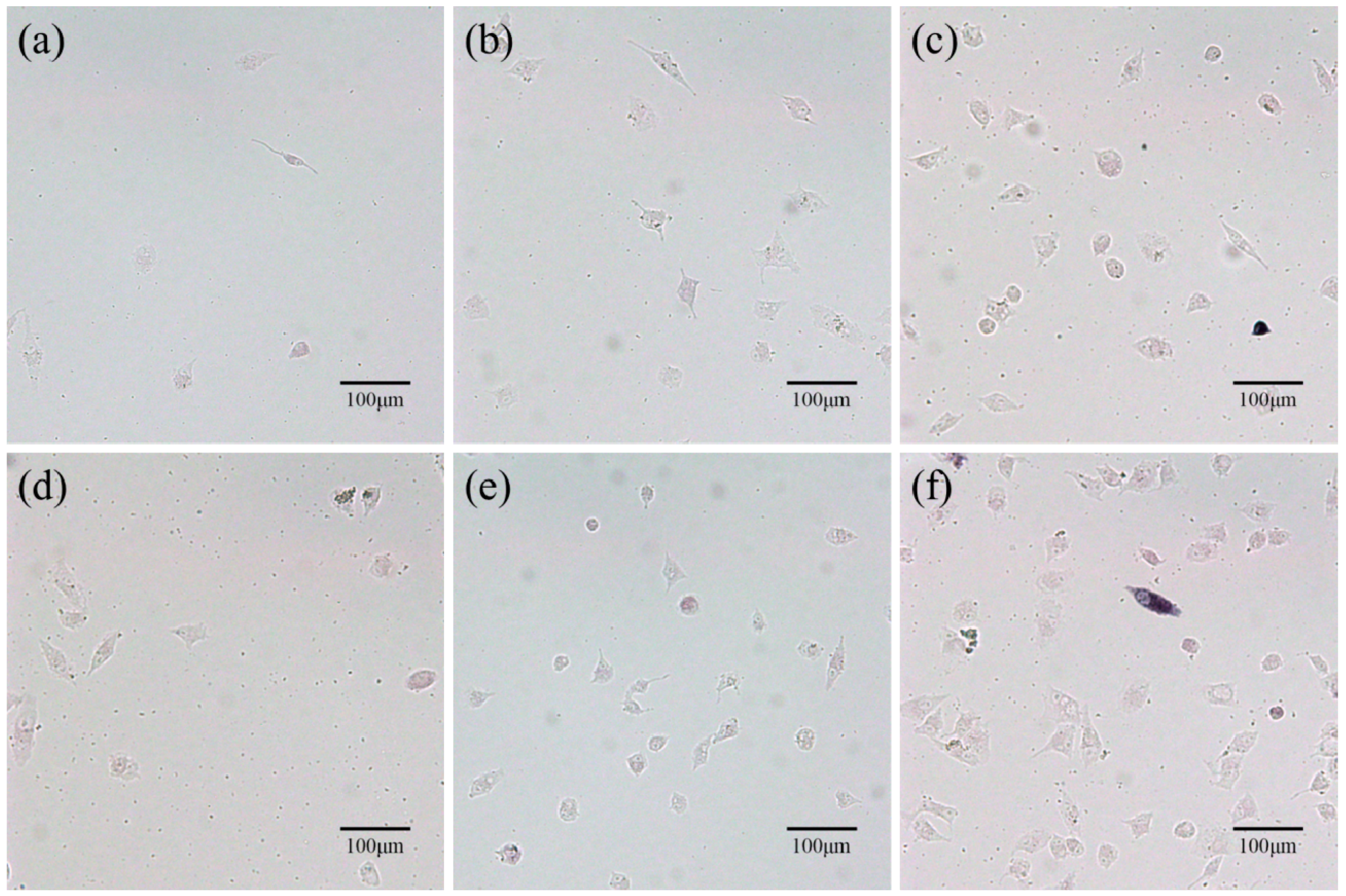 Polymers 09 00175 g010