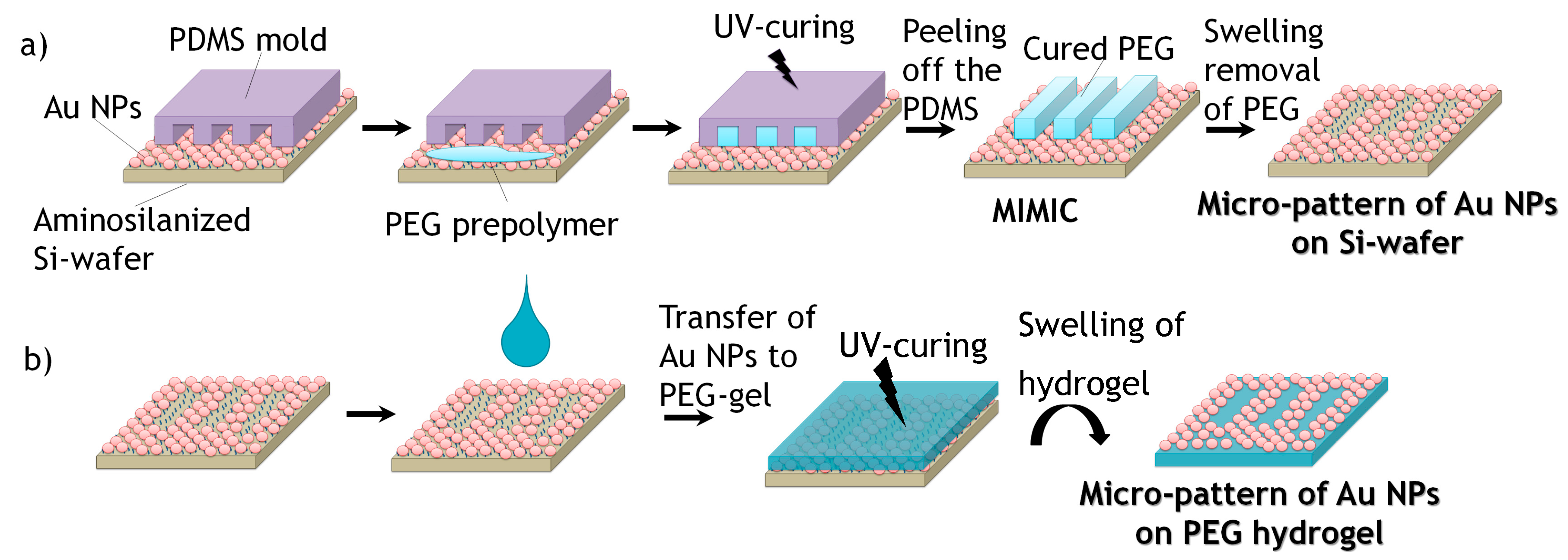 Polymers 09 00176 g002