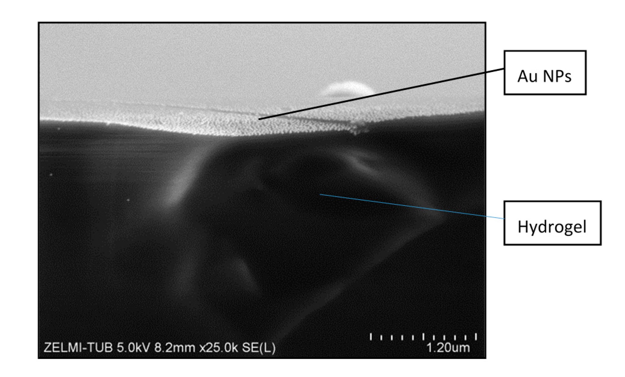 Polymers 09 00176 g005