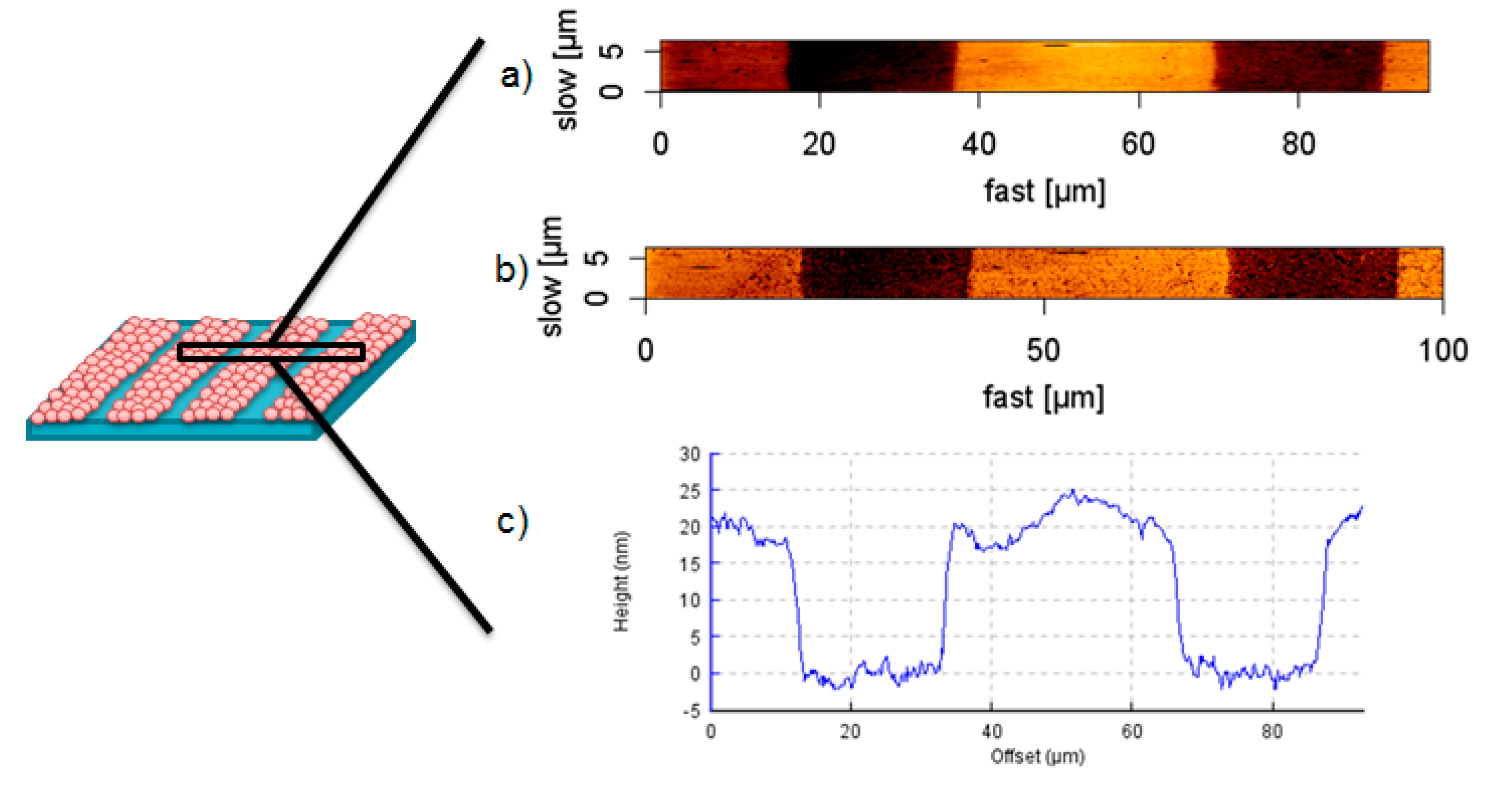 Polymers 09 00176 g006