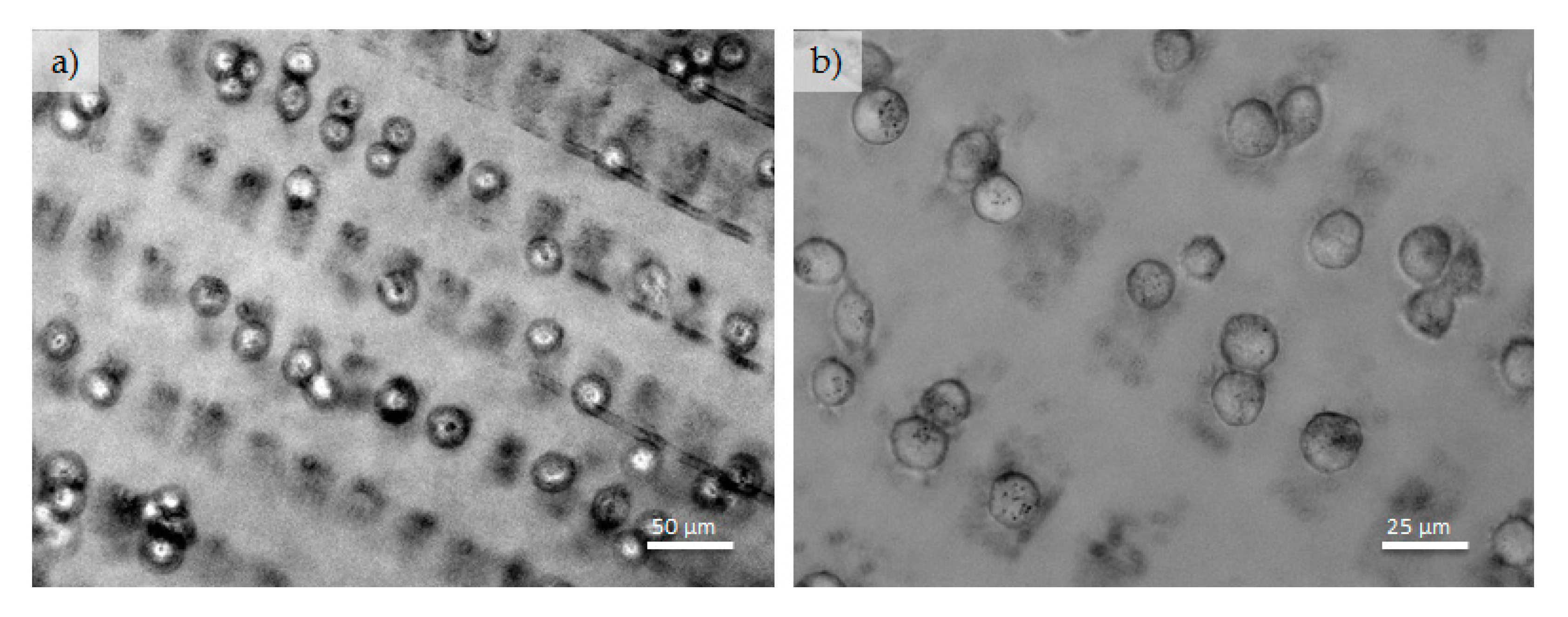 Polymers 09 00176 g008