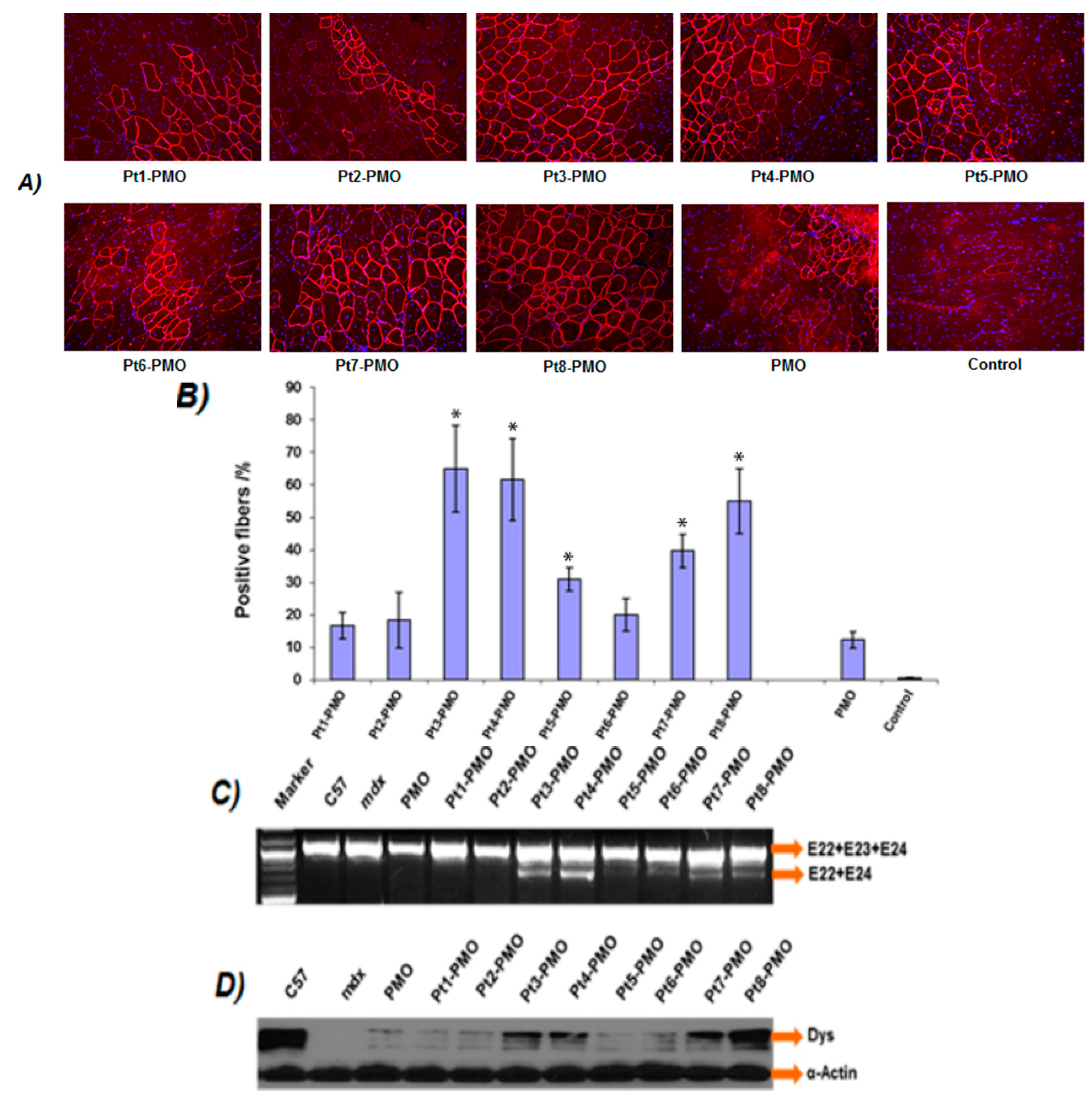Polymers 09 00177 g003