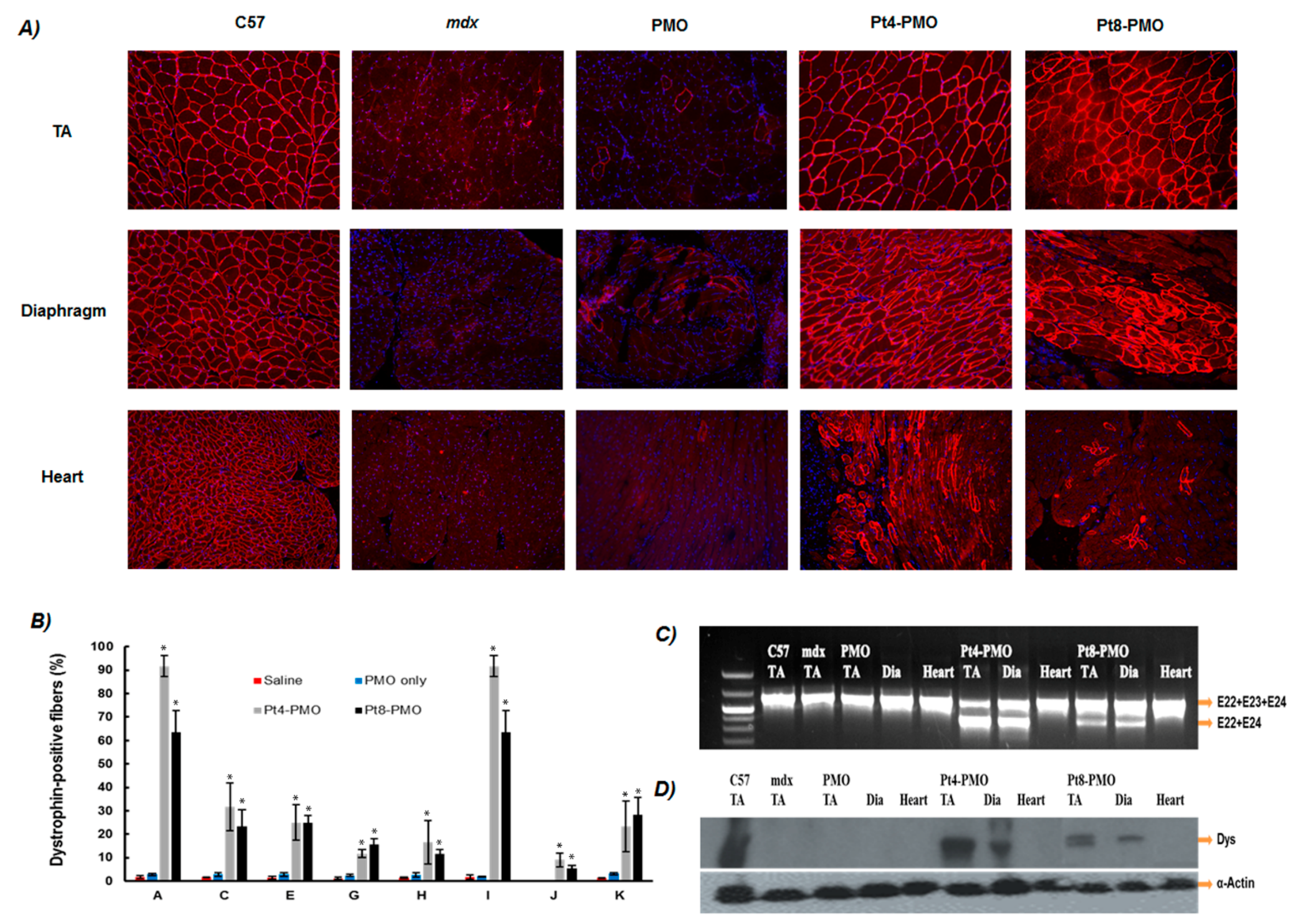 Polymers 09 00177 g004
