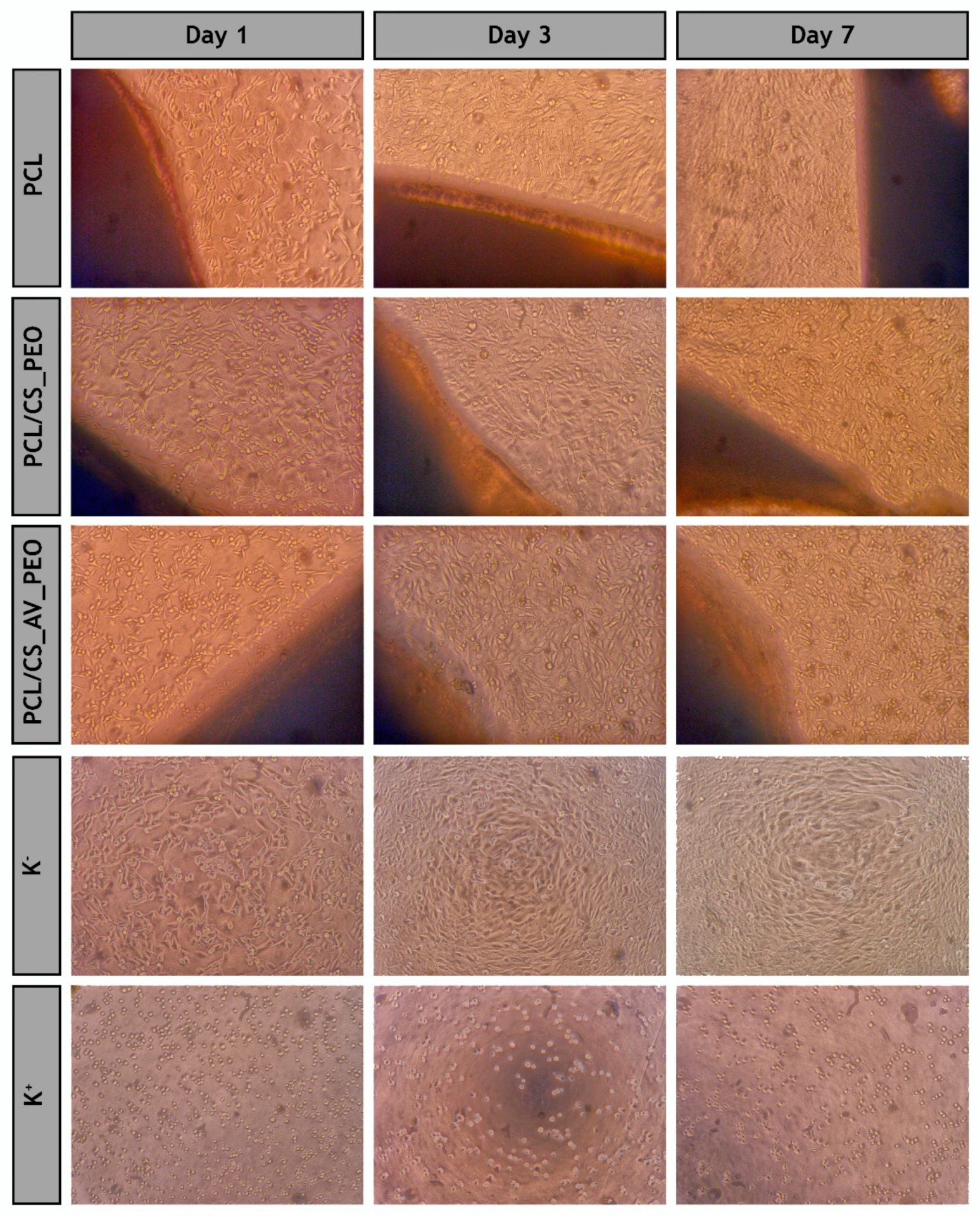 Polymers 09 00183 g006