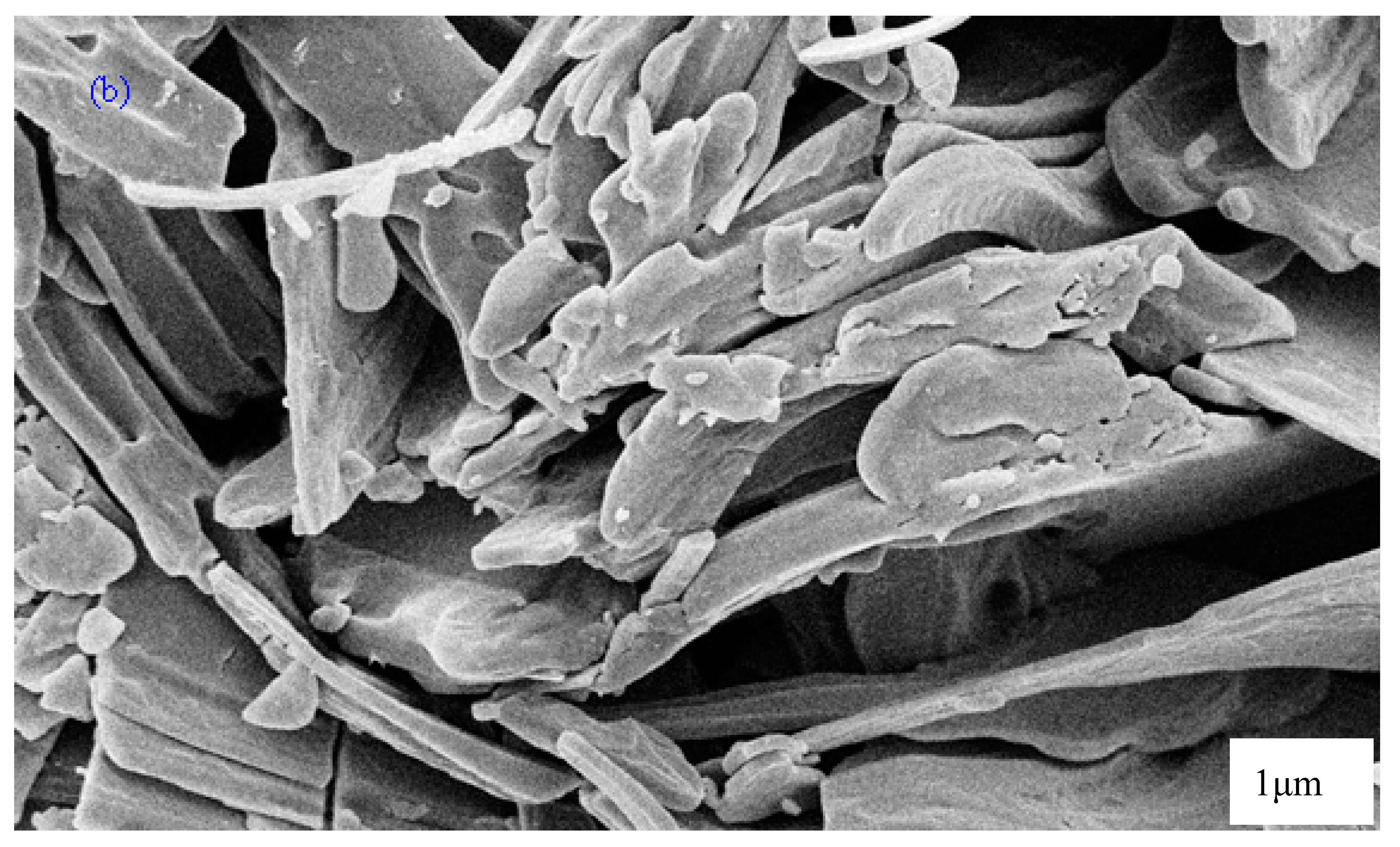 Polymers 09 00187 g003b Polymers 09 00187 g003b