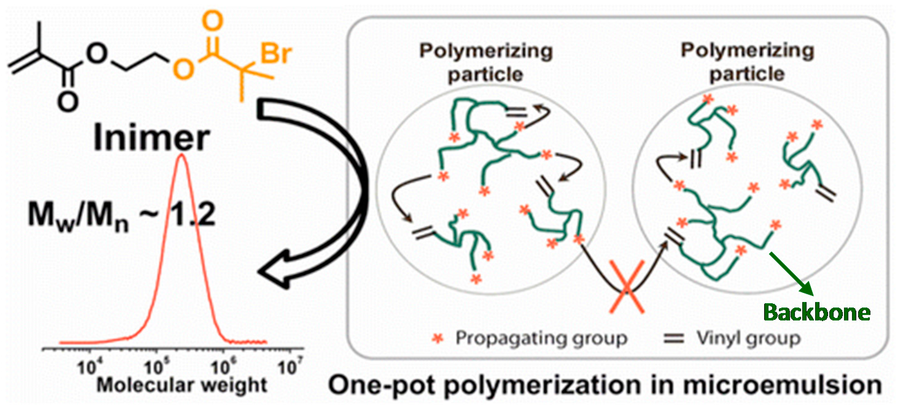 Polymers 09 00188 g007