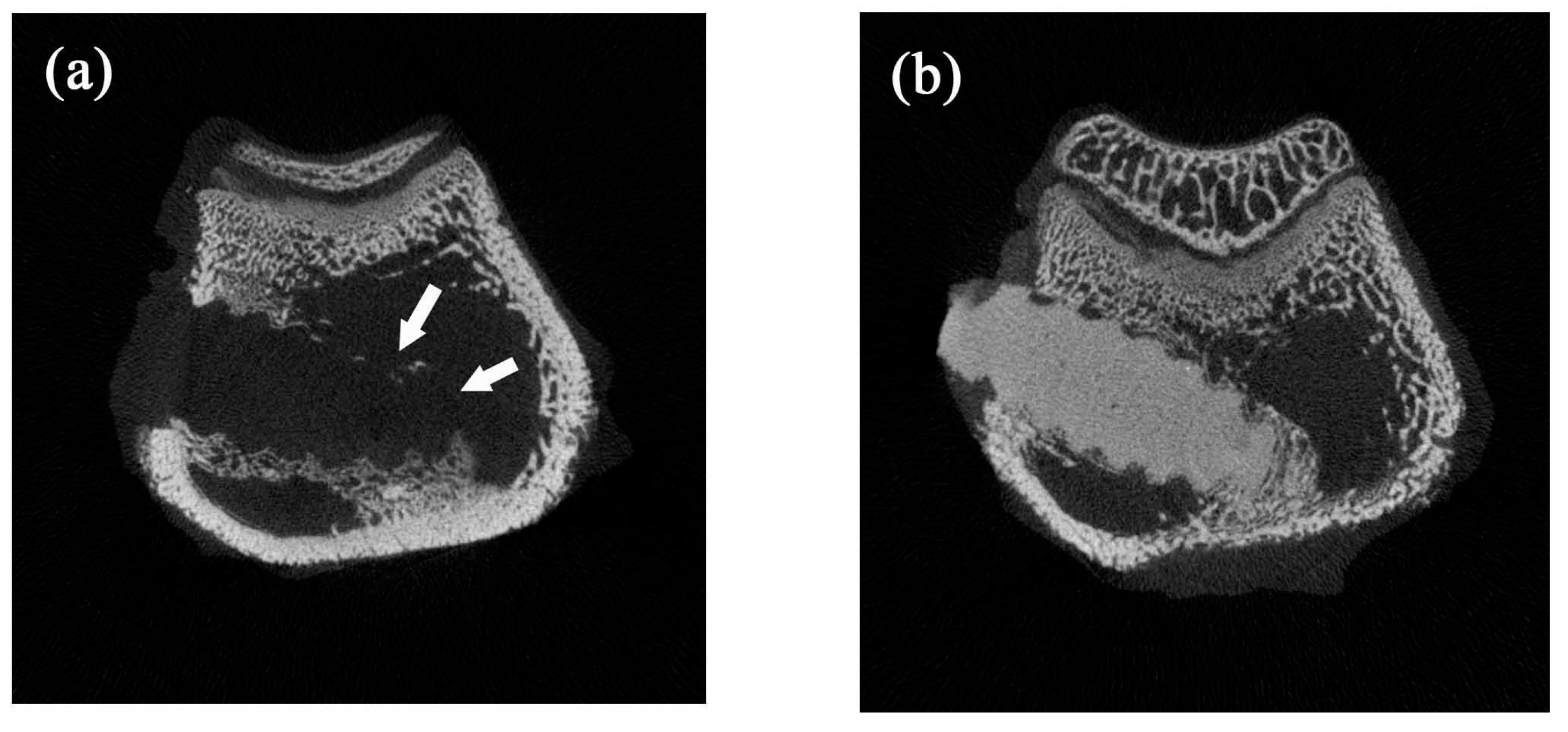 Polymers 09 00191 g008
