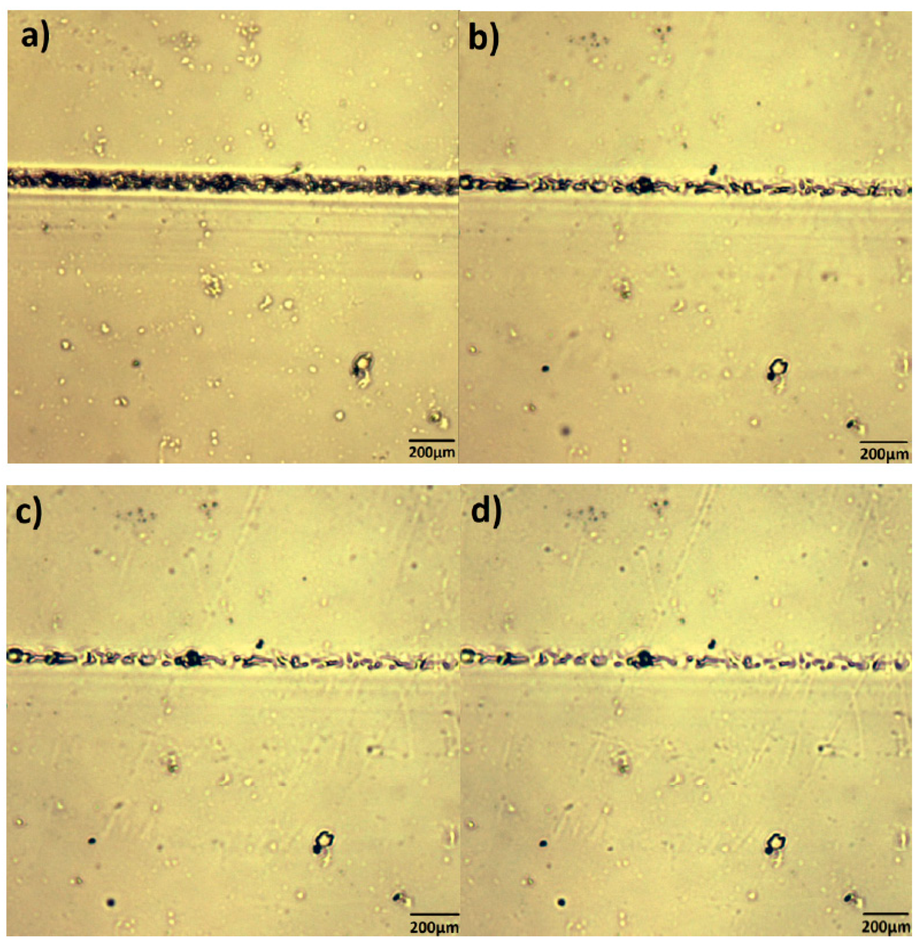Polymers 09 00200 g007