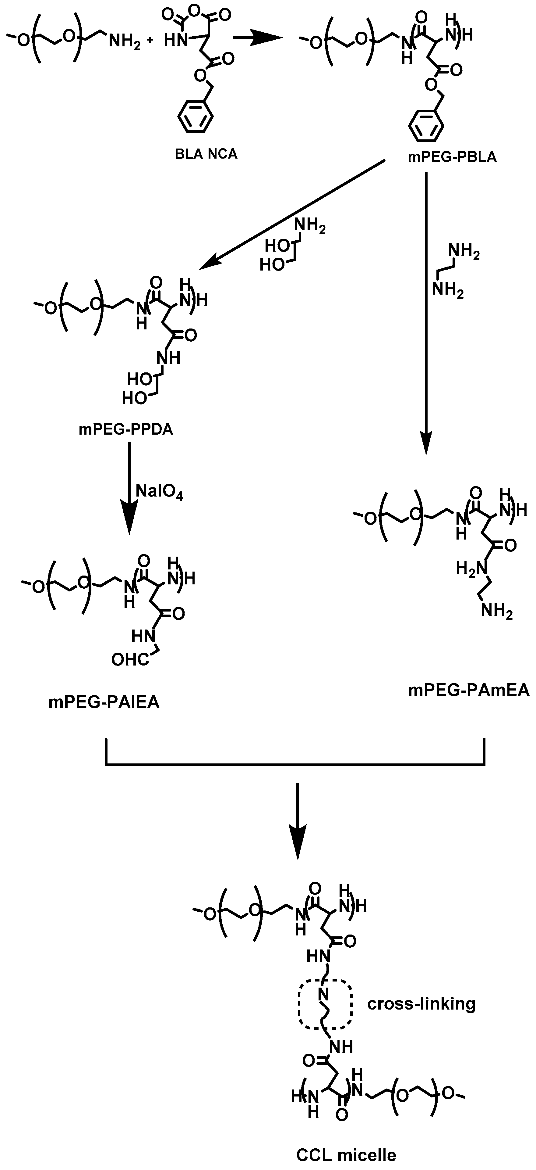 Polymers 09 00208 g006