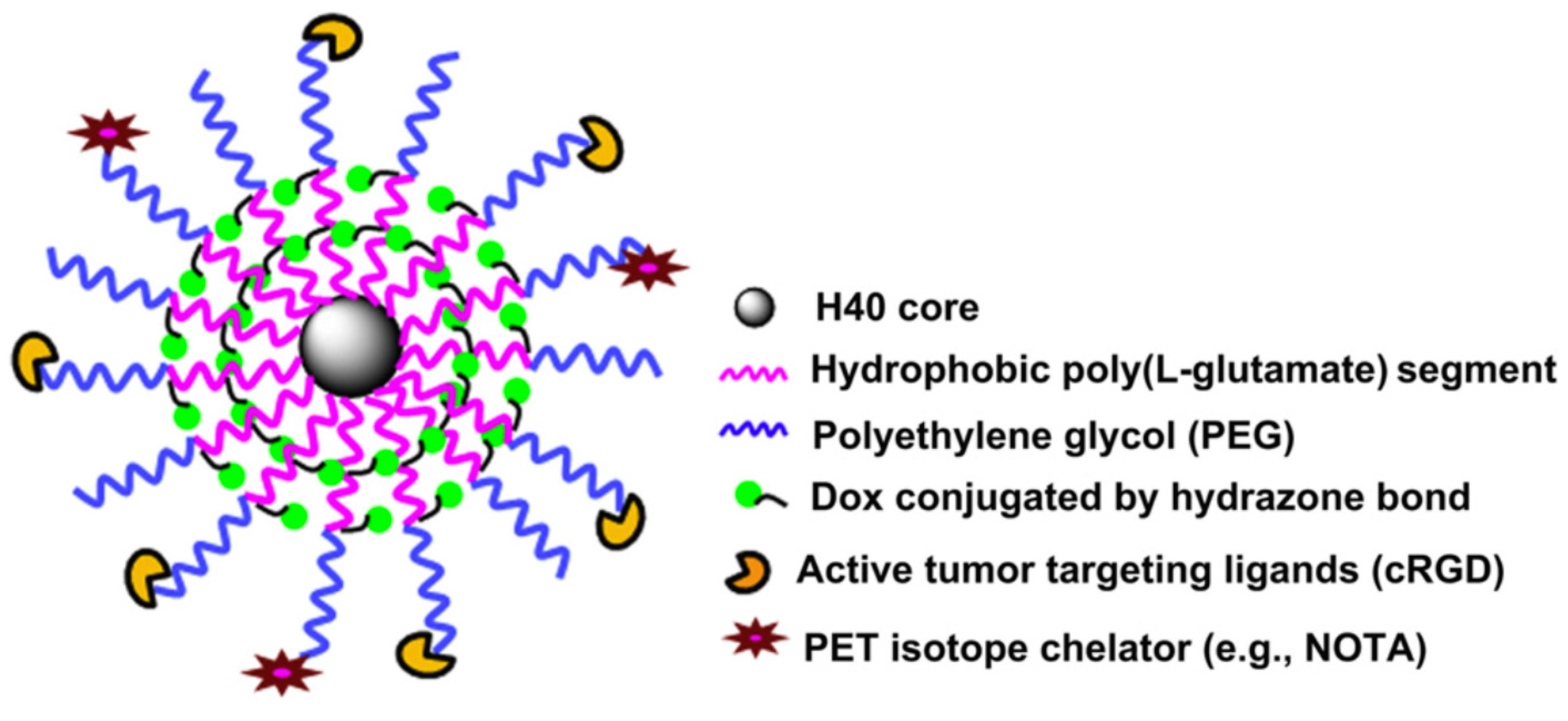 Polymers 09 00208 g013