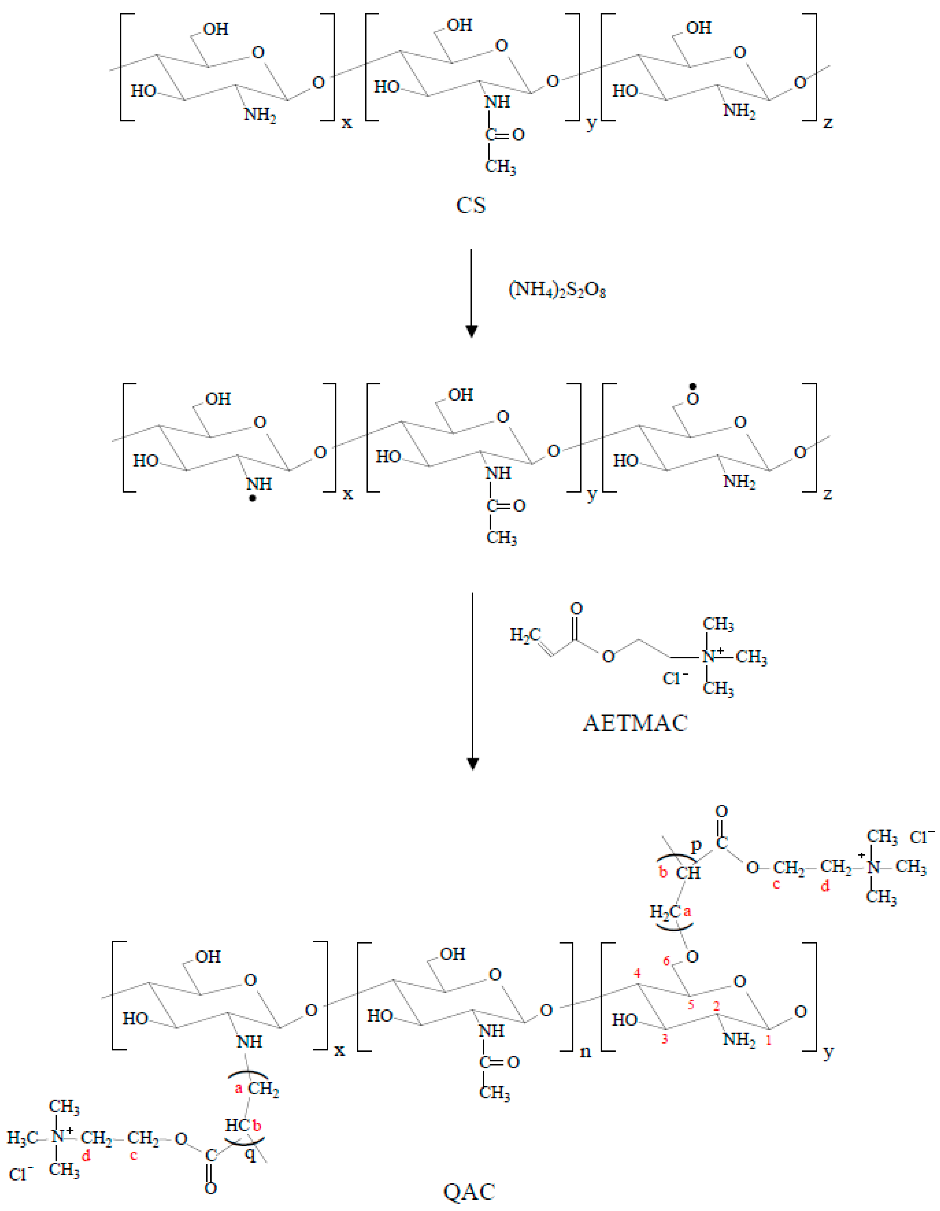 Polymers 09 00210 g001