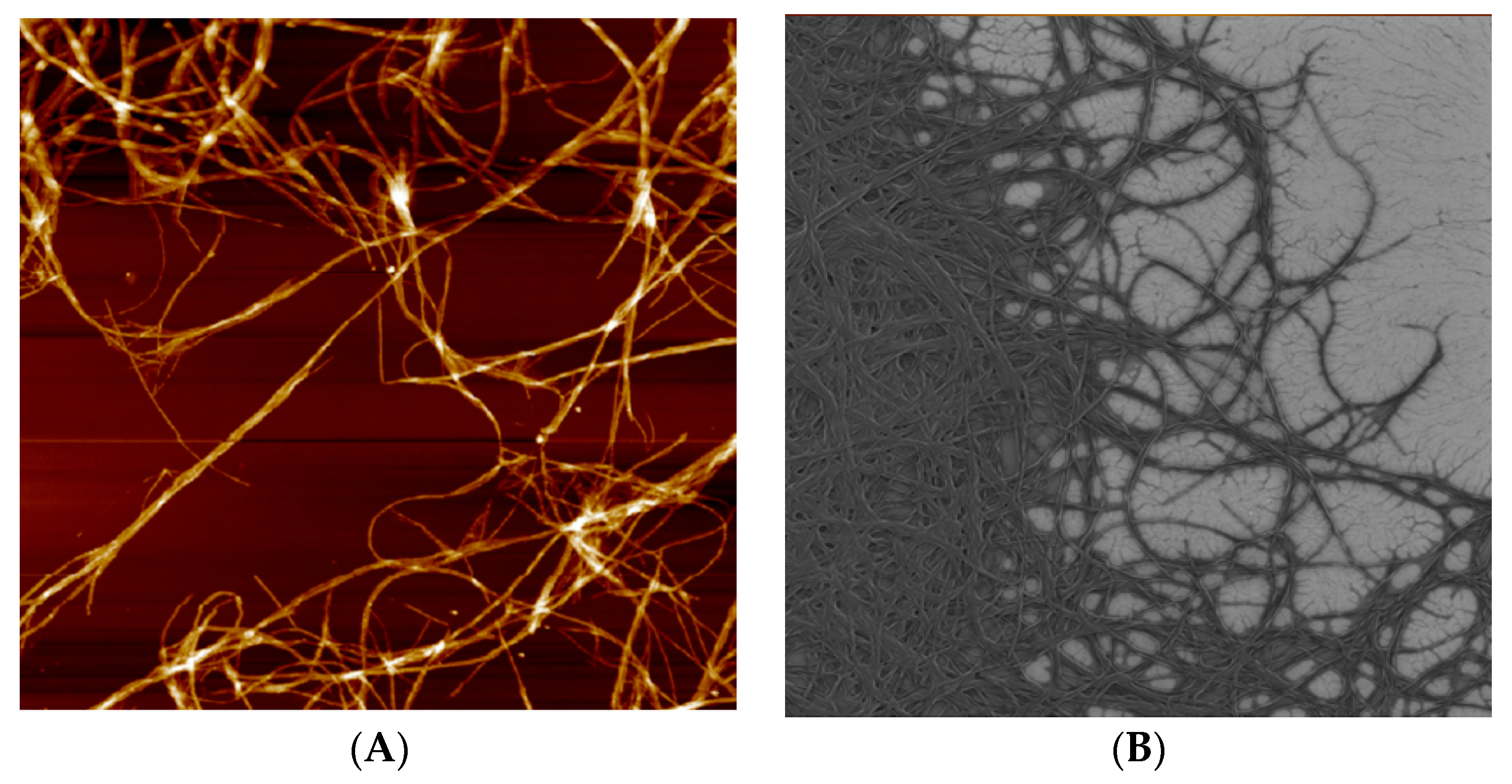 Polymers 09 00211 g007 Polymers 09 00211 g007