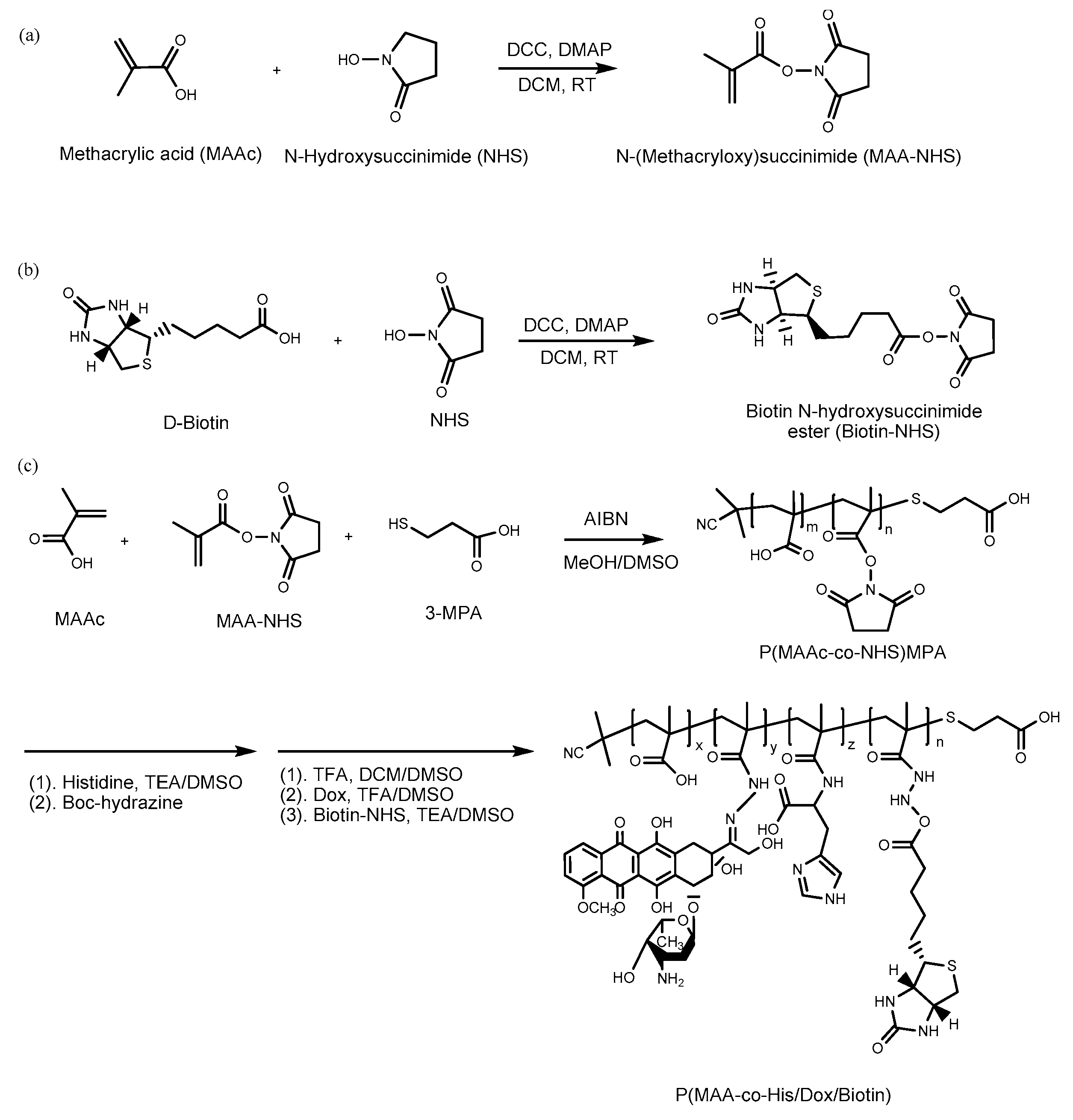 Polymers 09 00213 g001