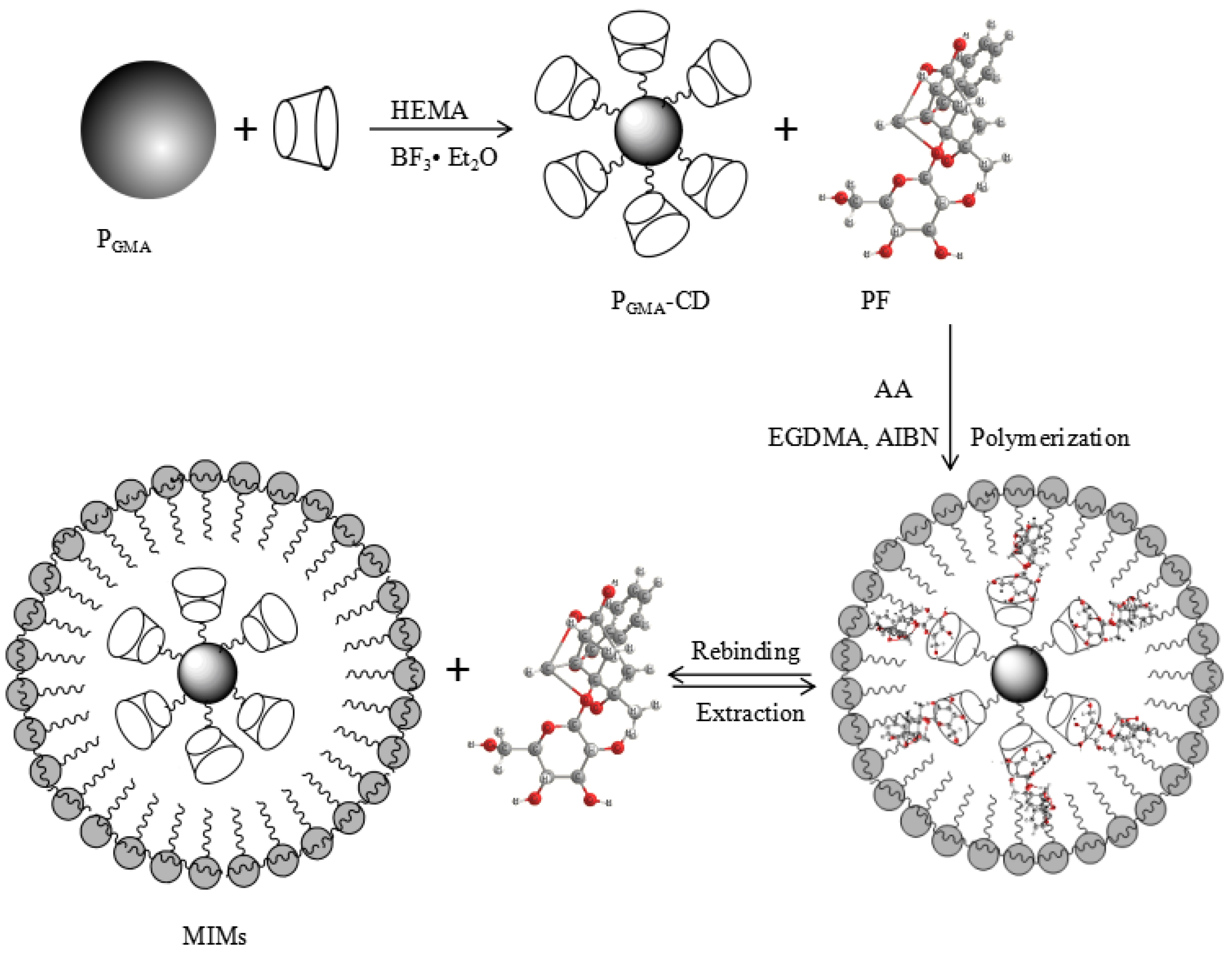 Polymers 09 00214 g002
